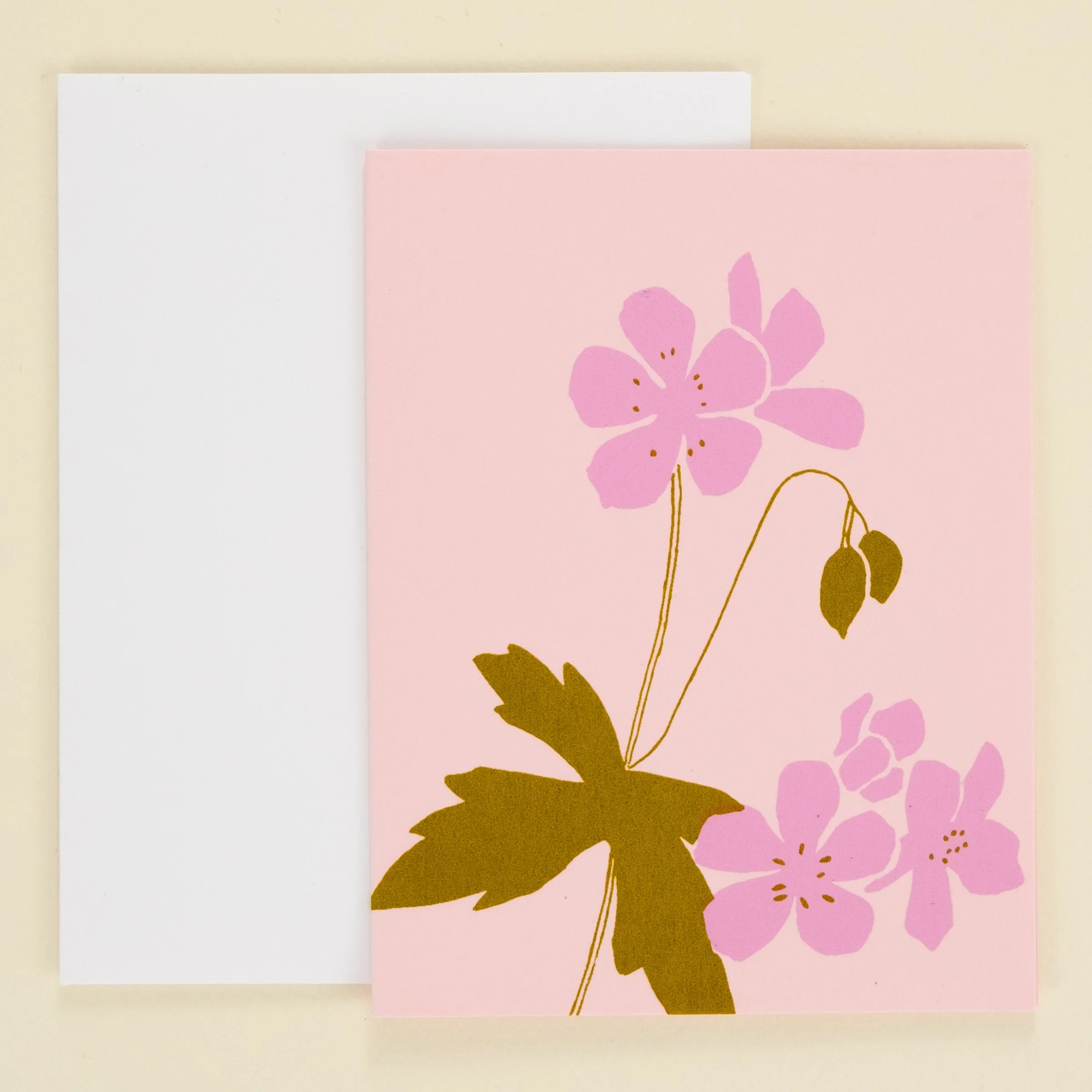 Wild geranium
