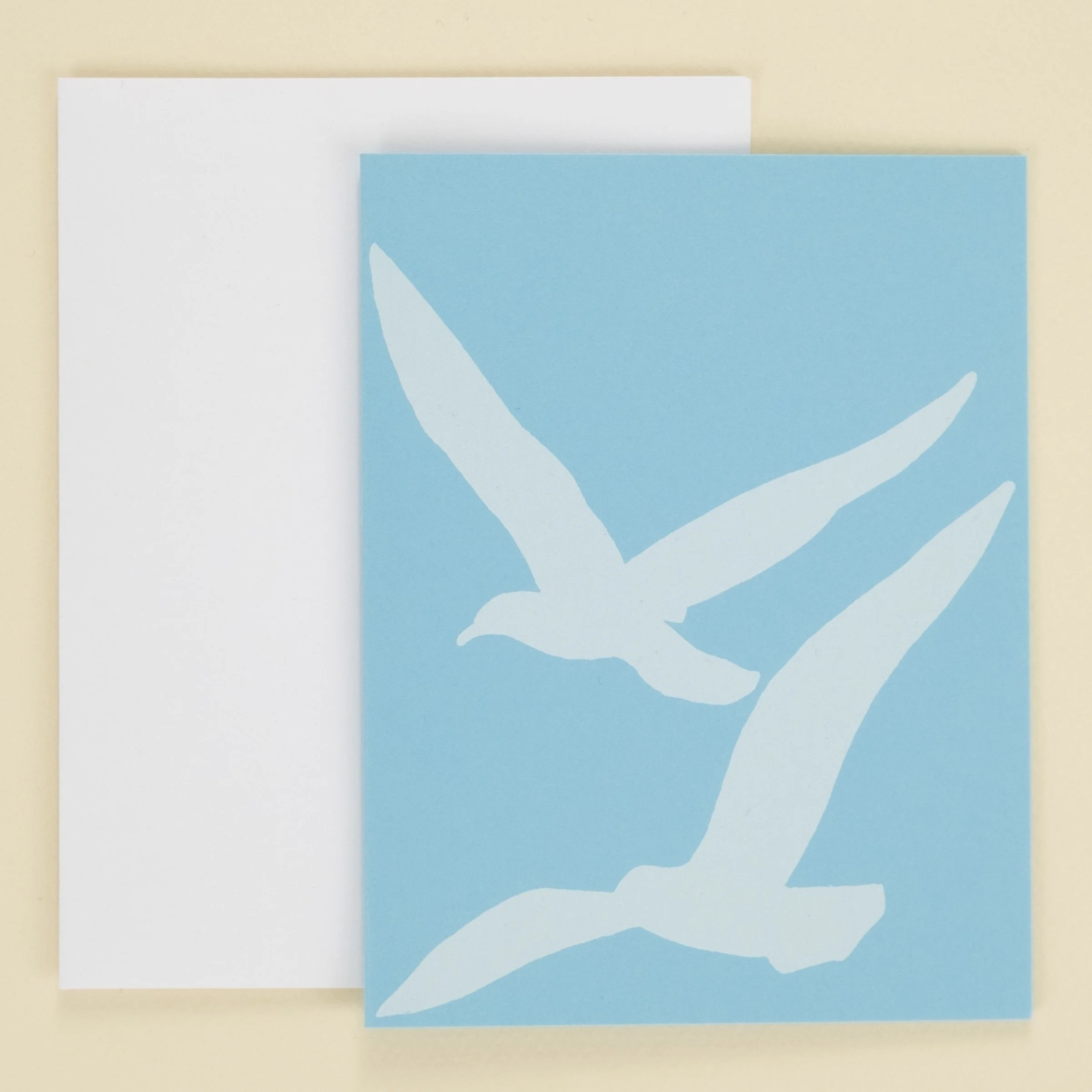 gulls.jpg