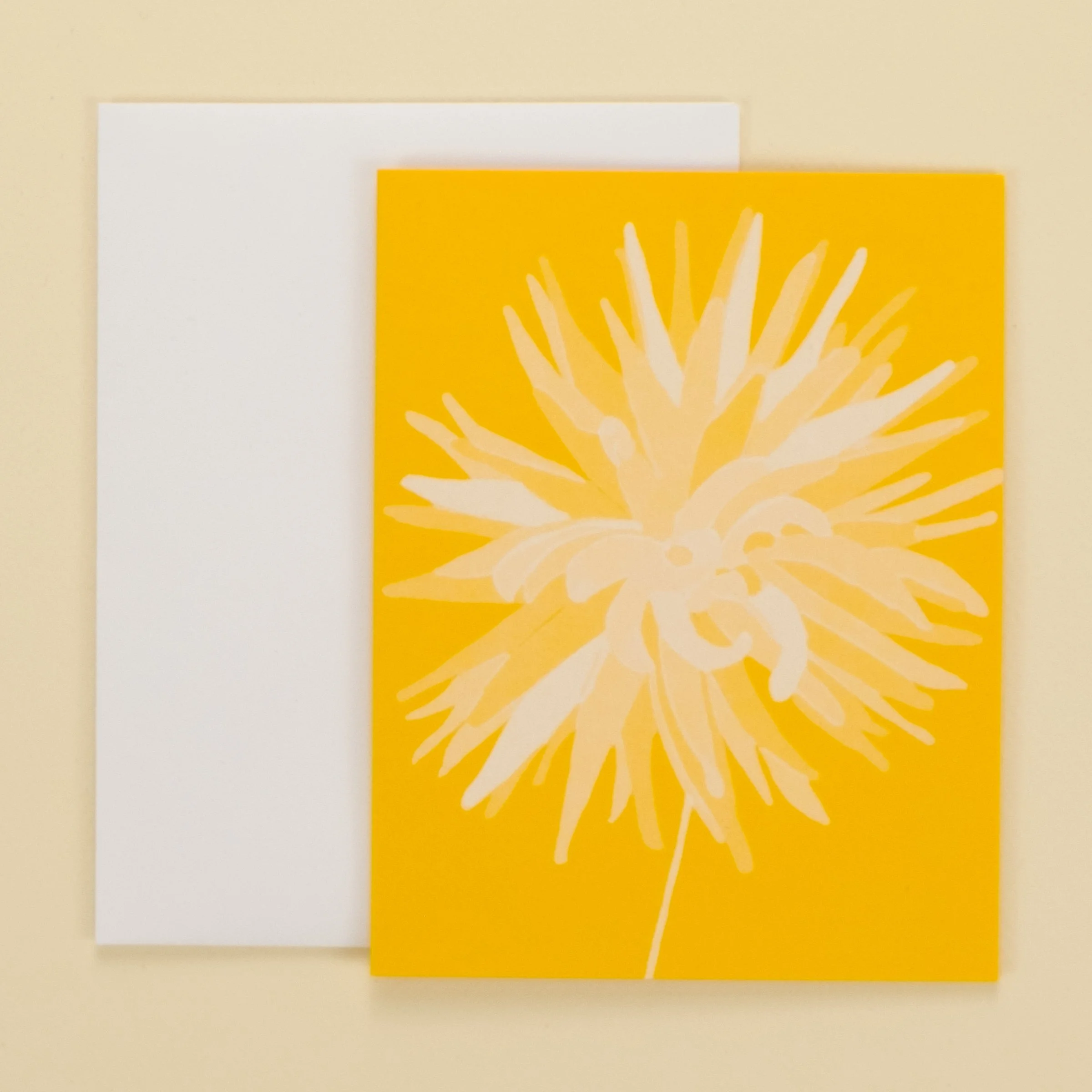 snowball dahlia.jpg