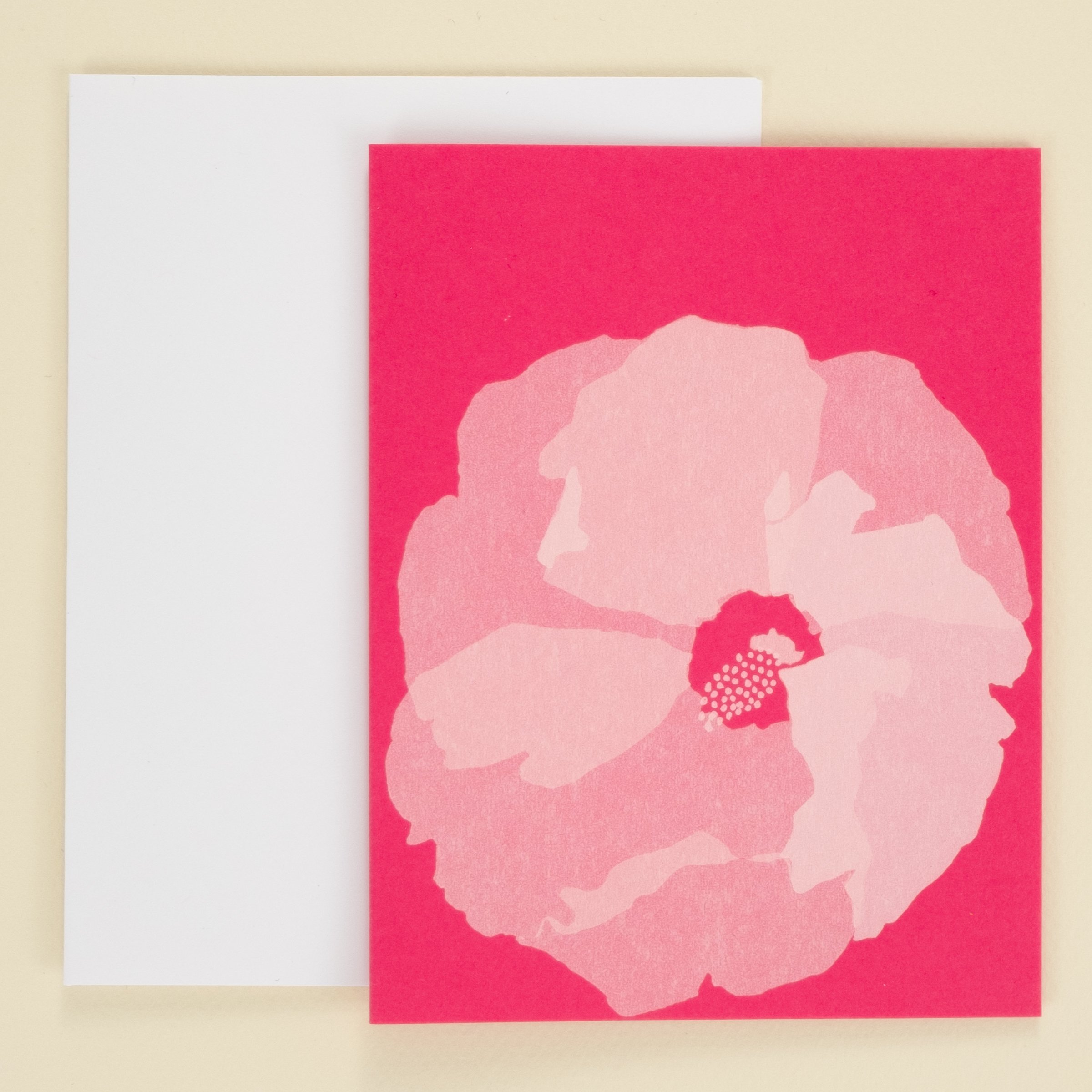 rose mallow.jpg