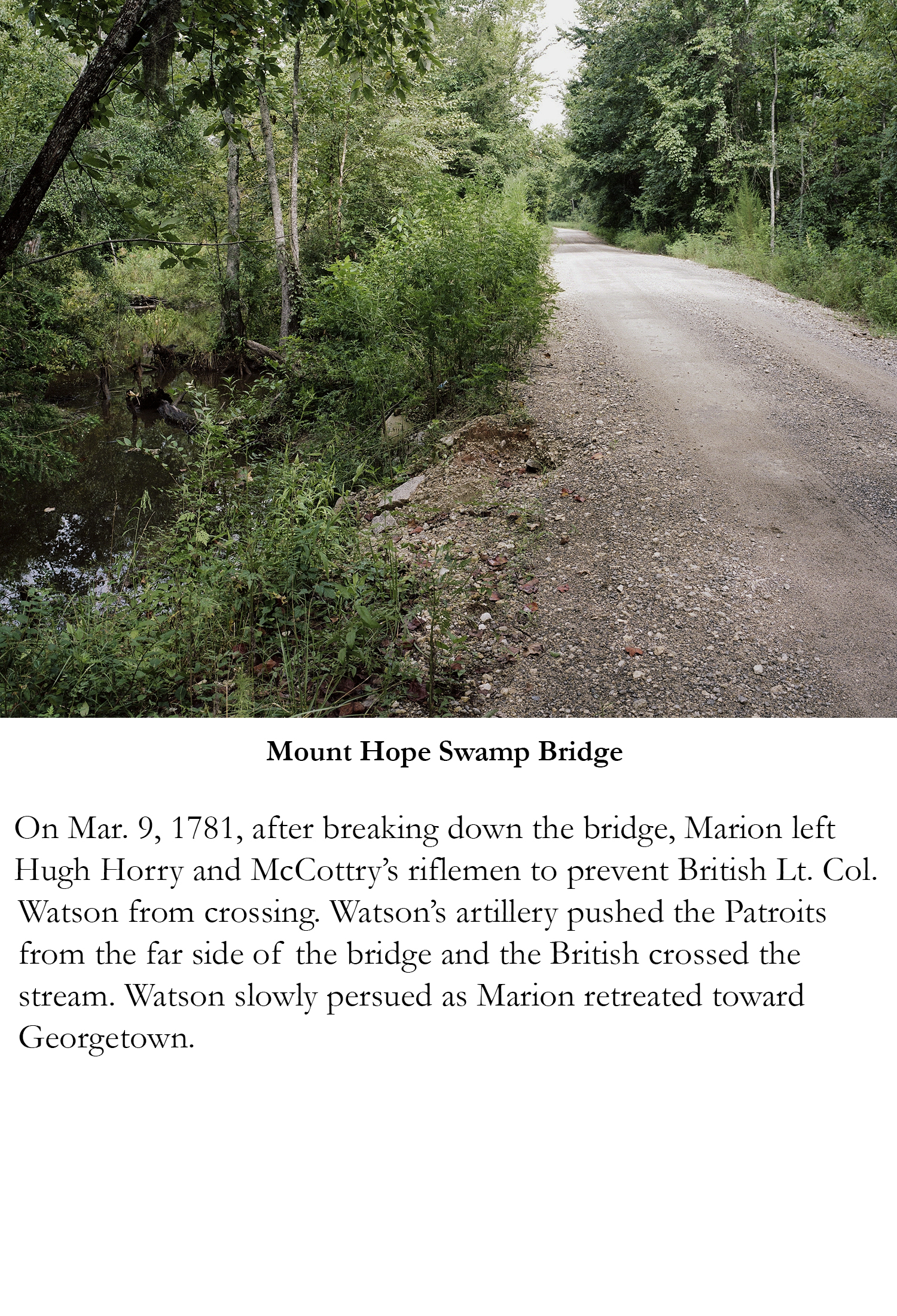Mount Hope Swamp Bridge.jpg