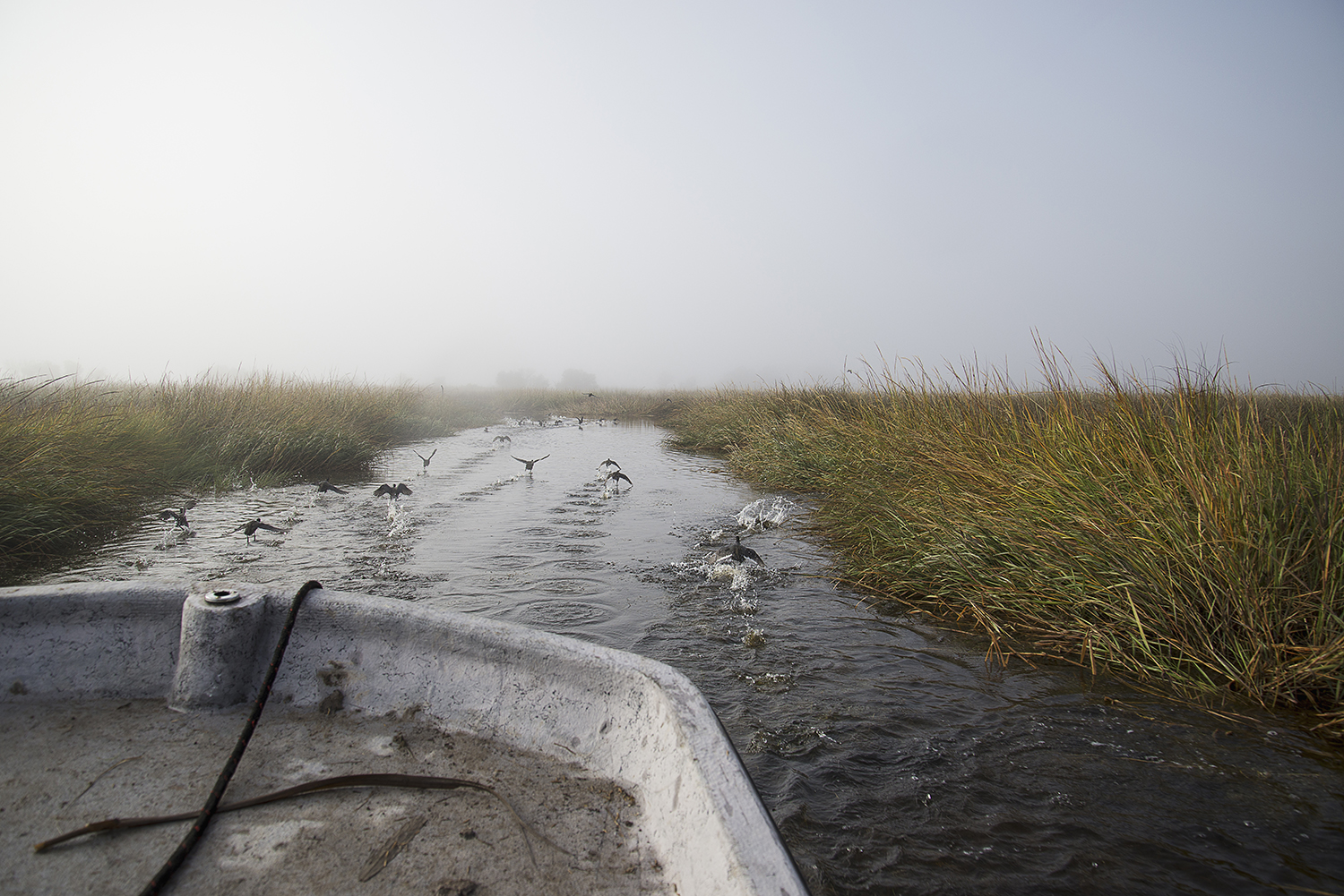 05-Old-Coots.jpg