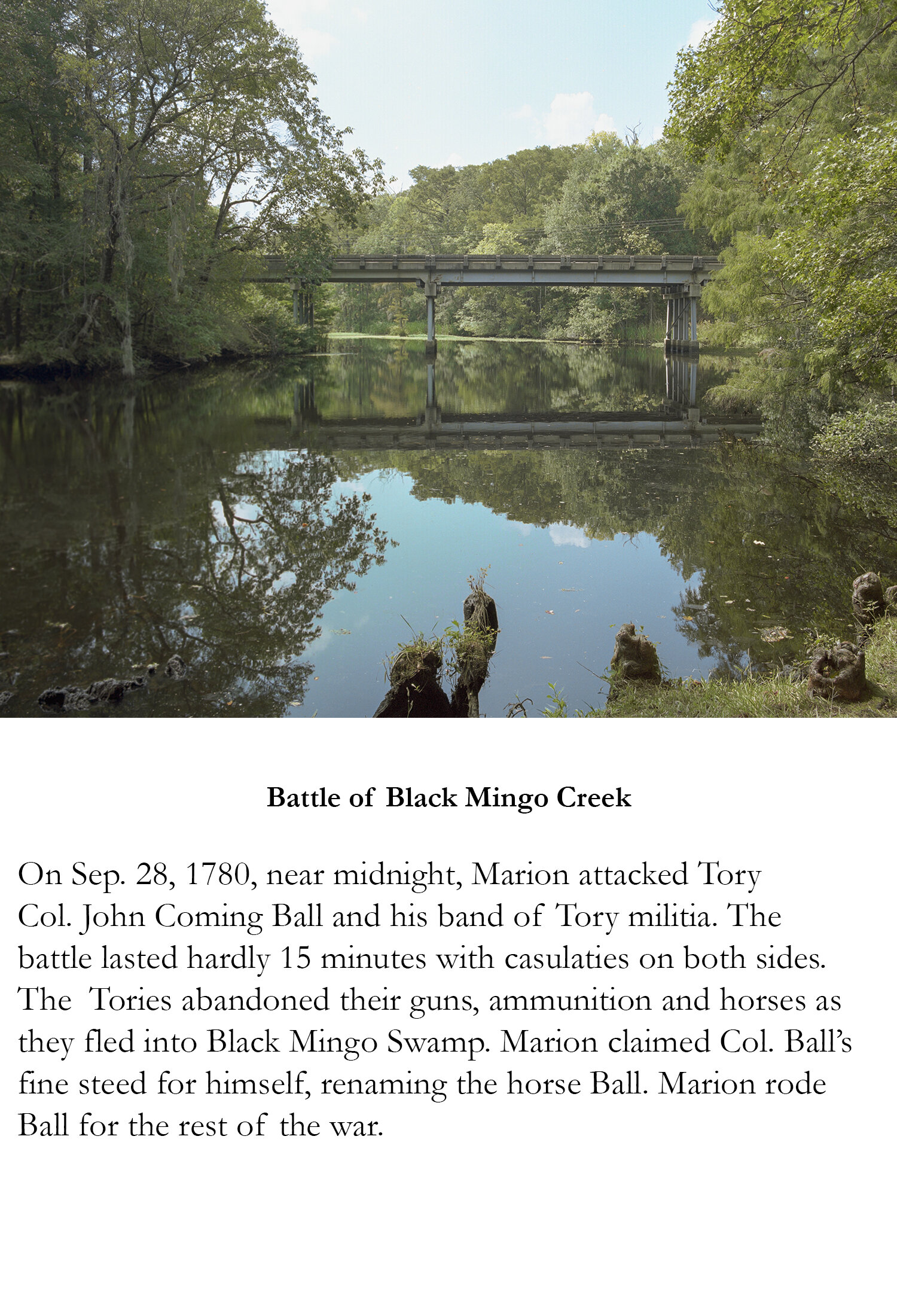 Black Mingo Creek.jpg
