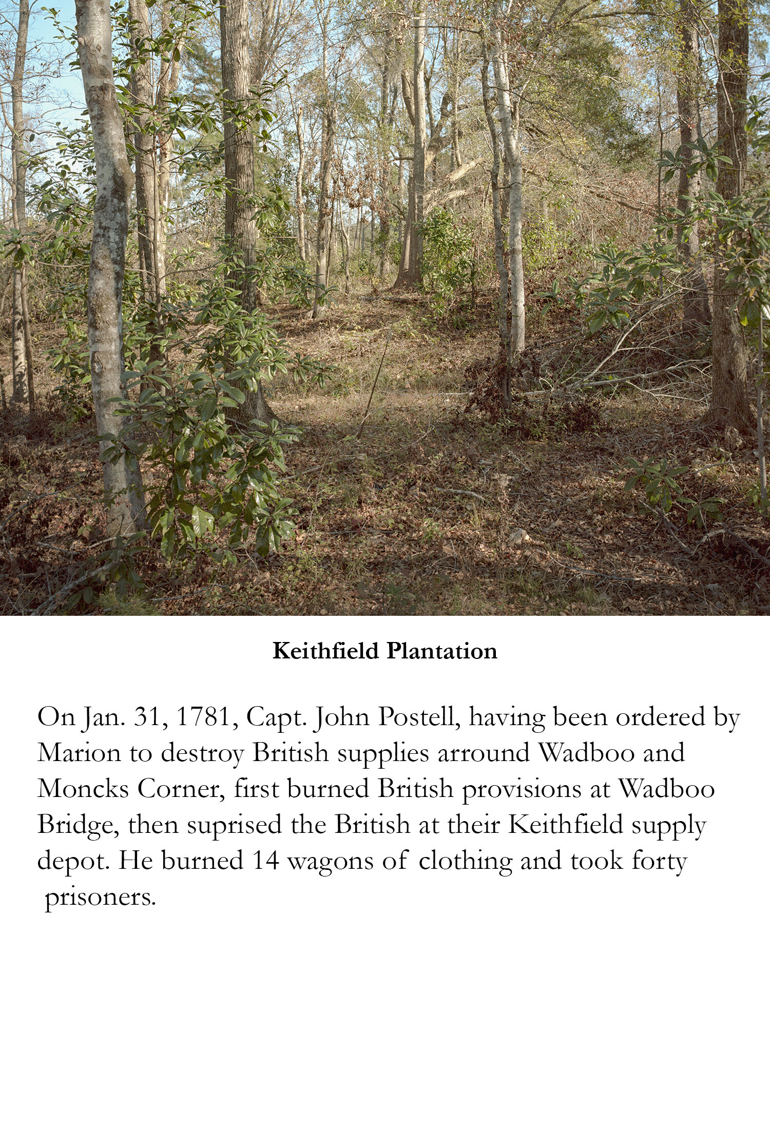 Keithfield Plantation.jpg