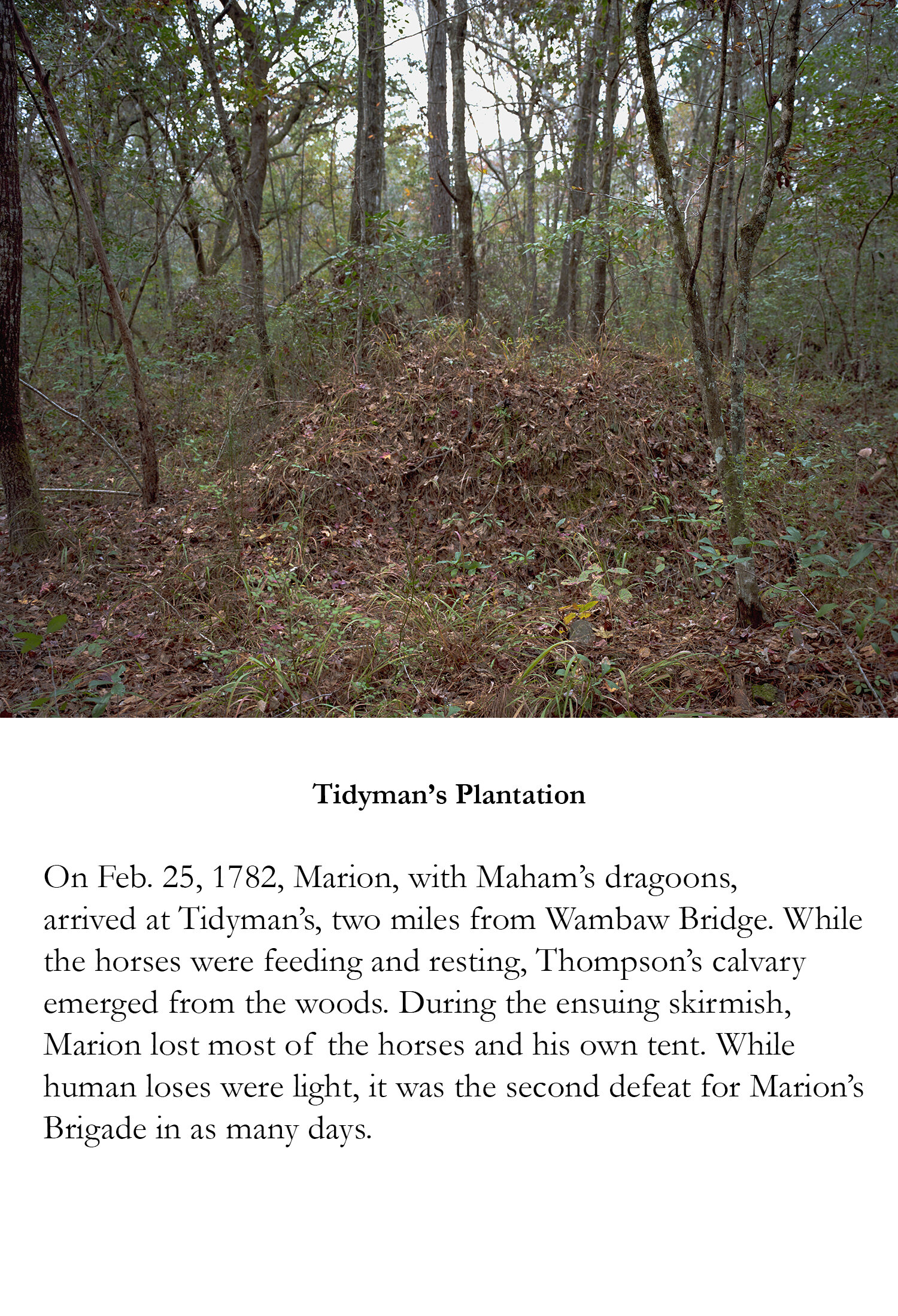 Tidyman's Plantation.jpg