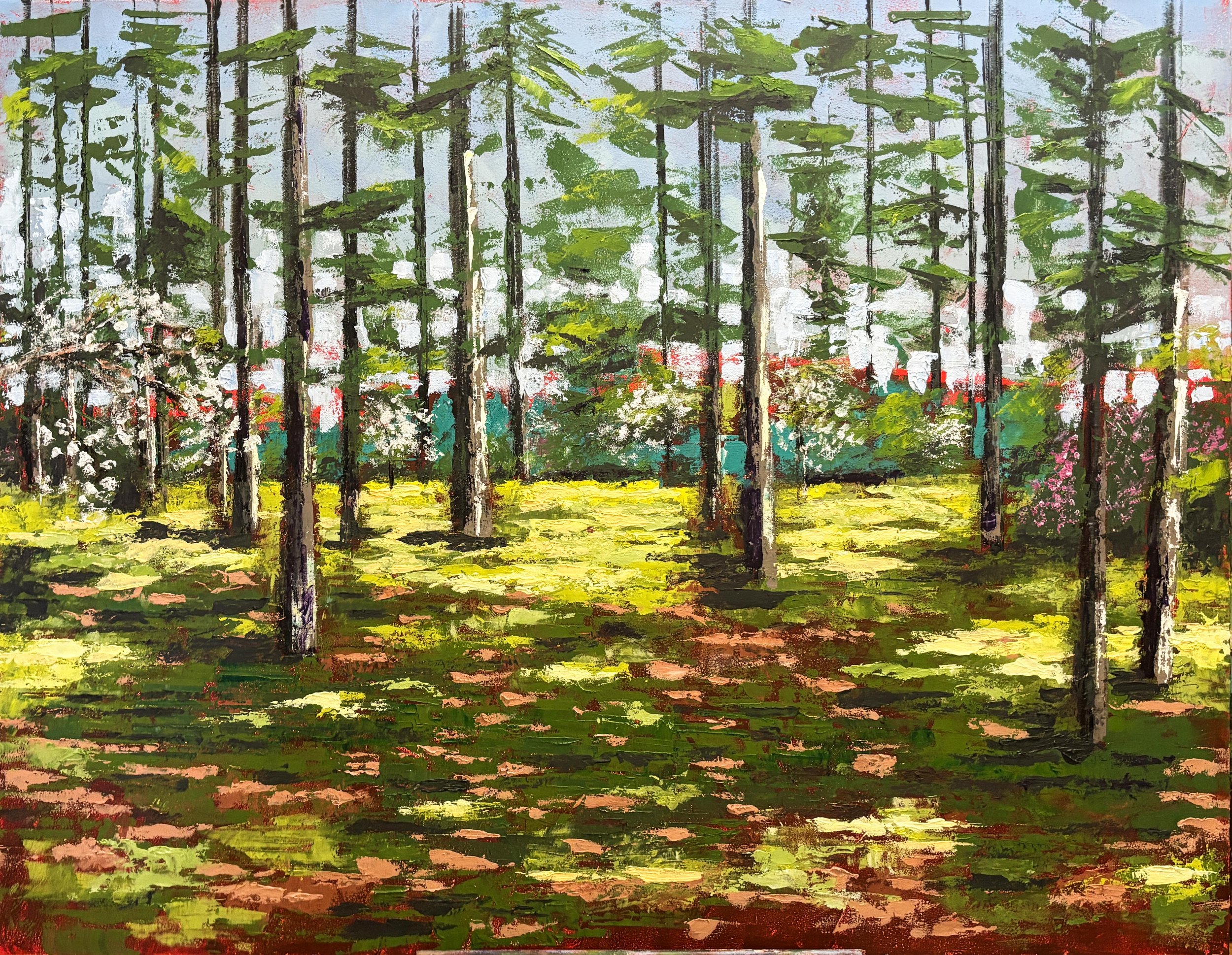 Picnic Area.jpg