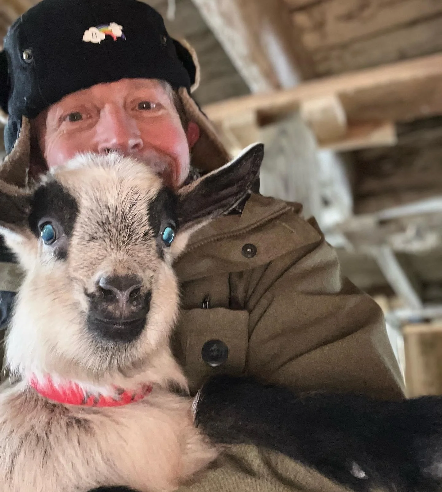 The Magic of Kindness and Baby Goats