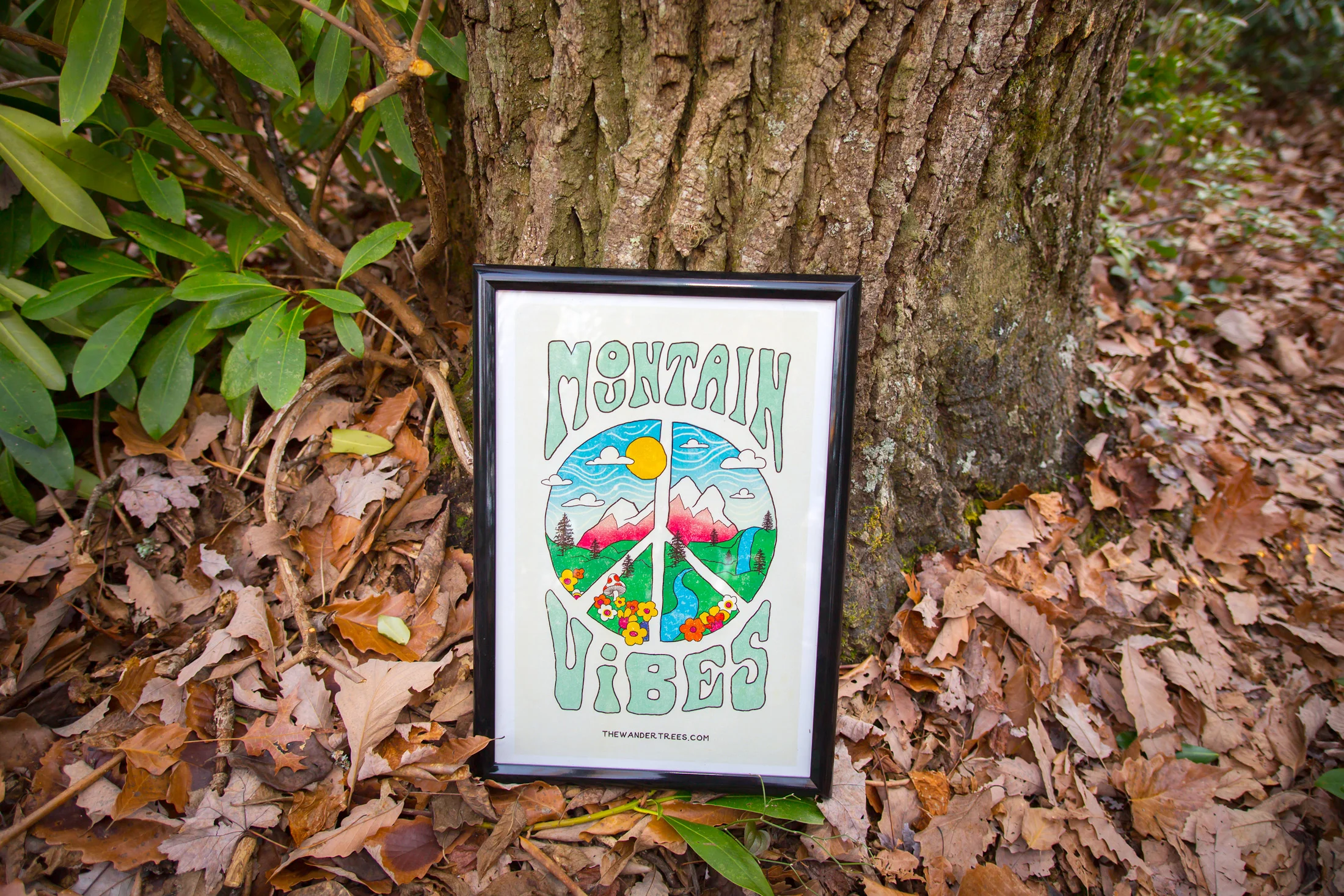 Mountain_Vibes_Poster.jpg