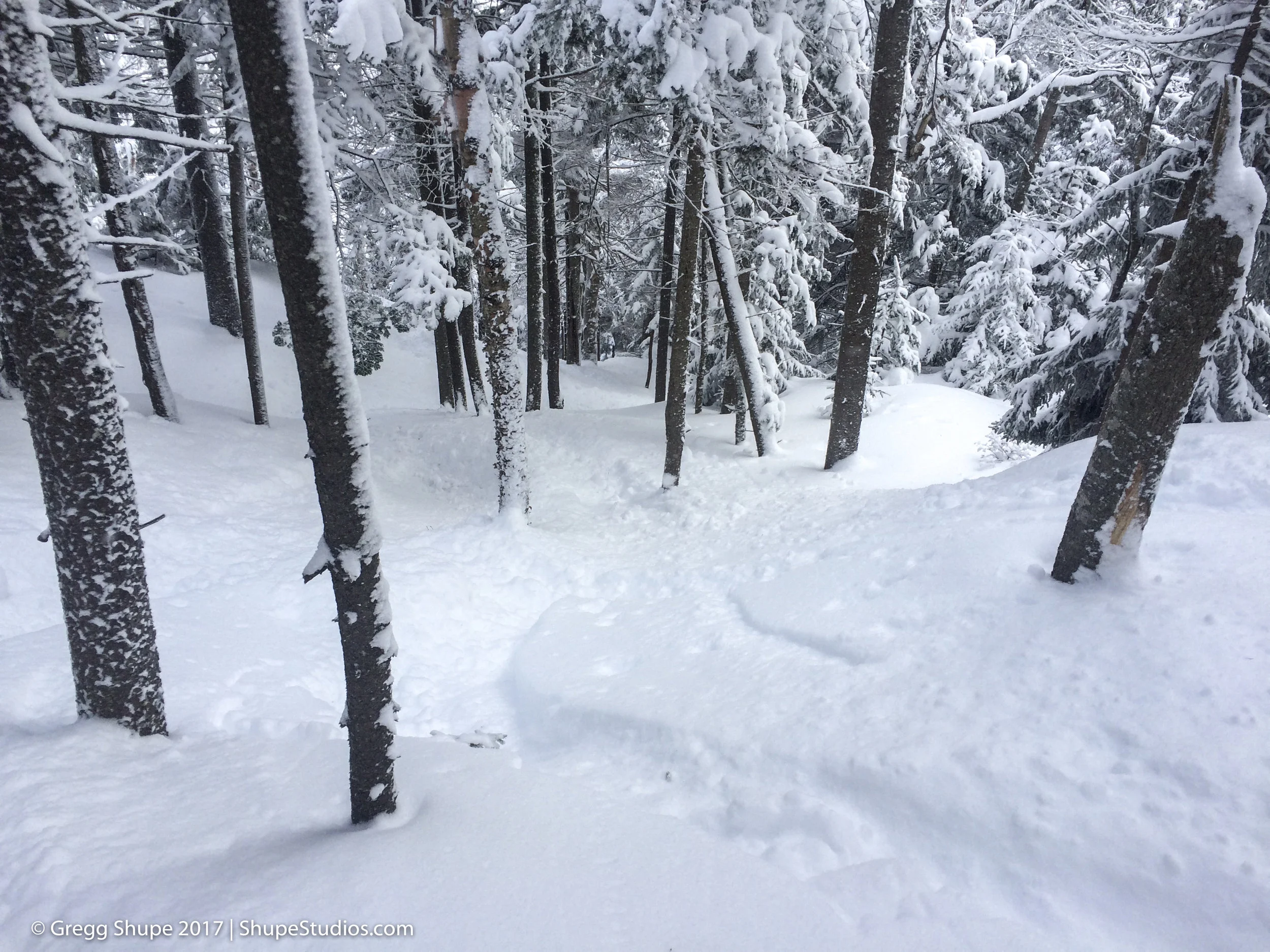 015_170213_Powder_Week_2017.jpg