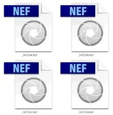 NEF.jpg