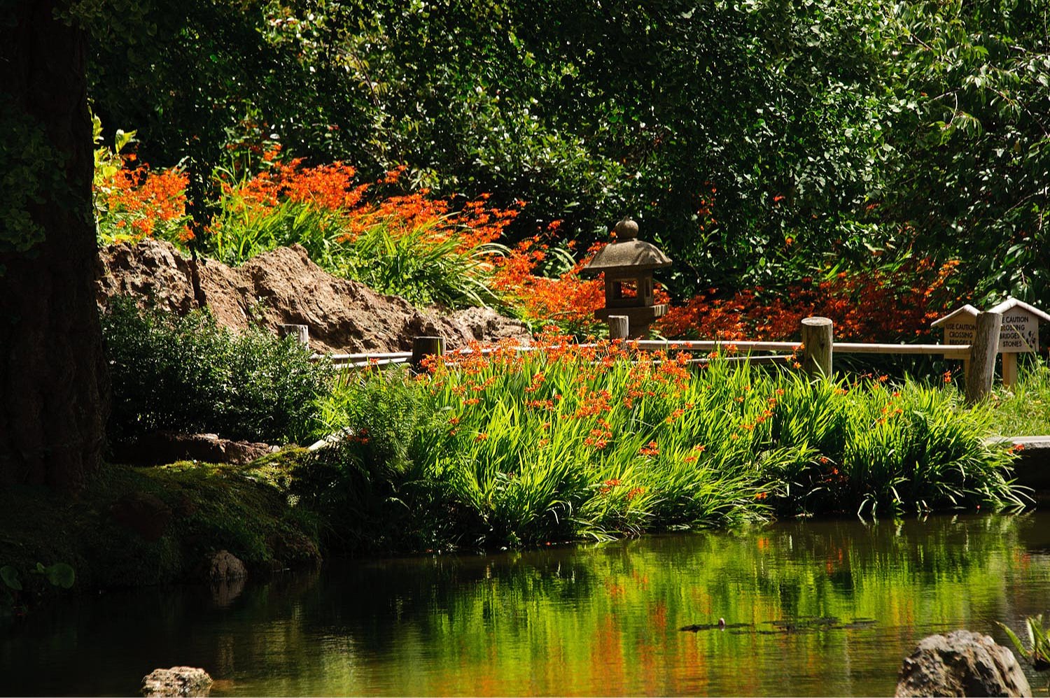 Chinese Garden