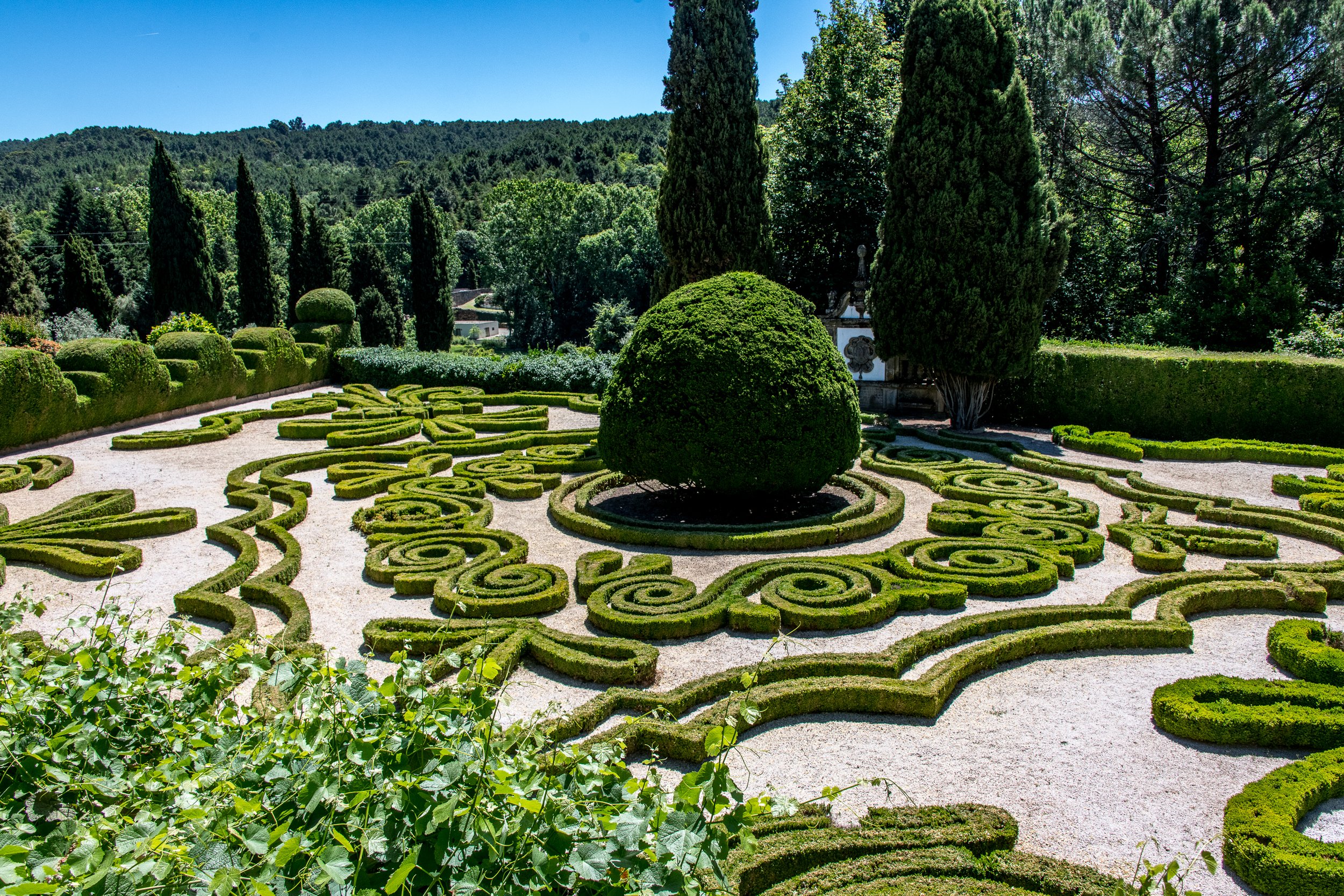 Palace Garden