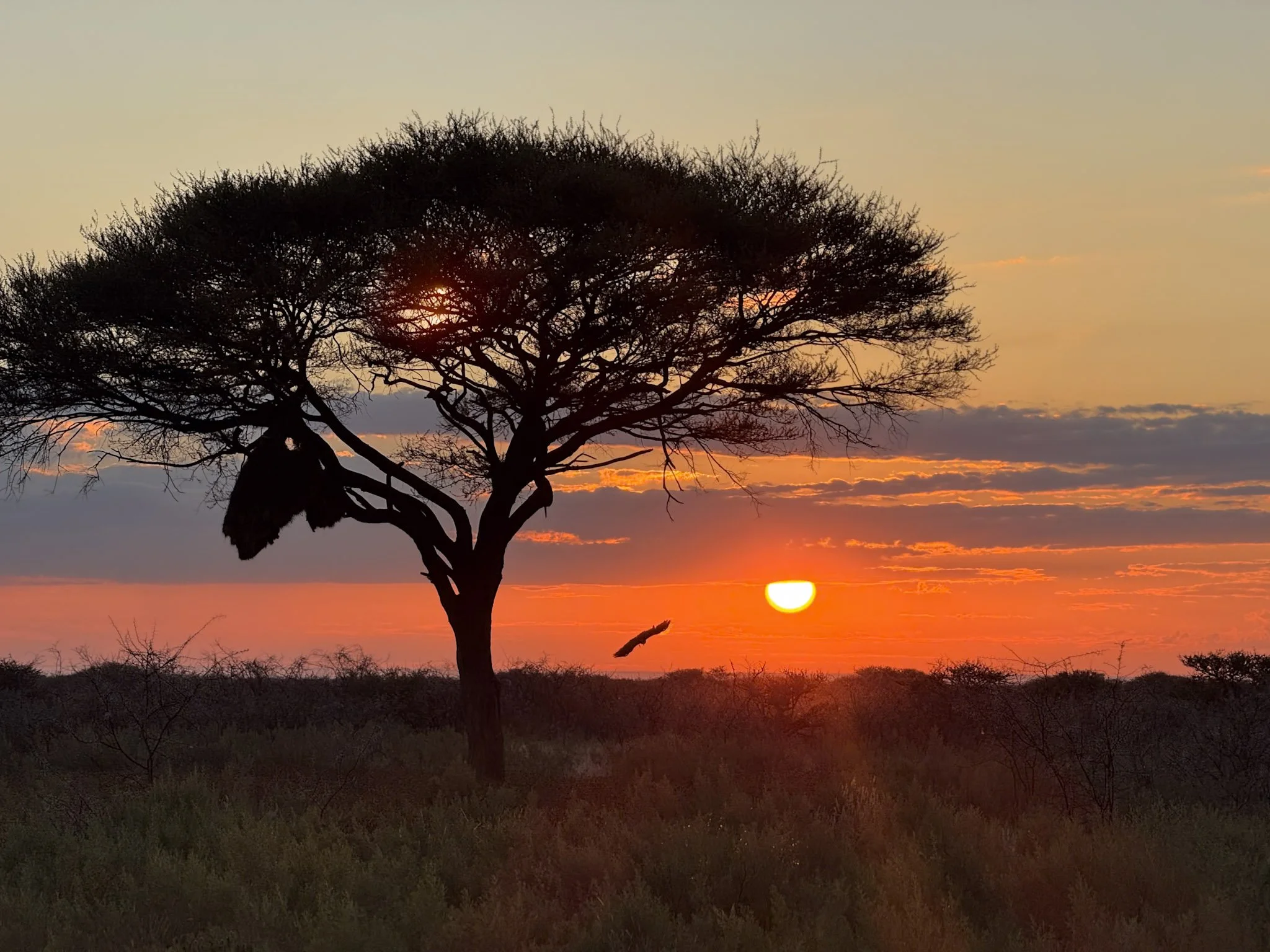 What Namibia Taught Me About Photography