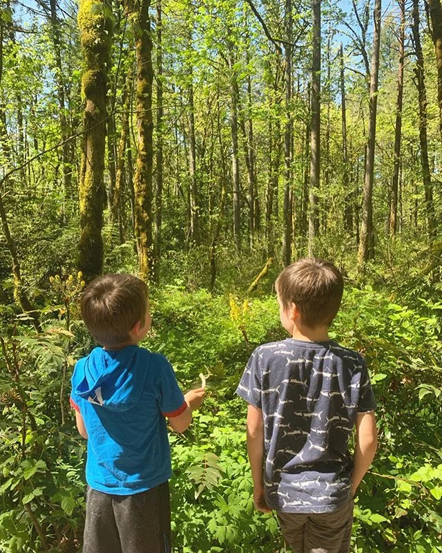 #maymagick2019 
Day 12 :: Mother
.
📷First photo from two weeks ago
📸Second photo by @frances_cannon .
📷Third photo from the Sacred Rebels deck, for the original mama.

Dialogue from this morning...
Caleb: Don&rsquo;t go in the living room!!!
Mason
