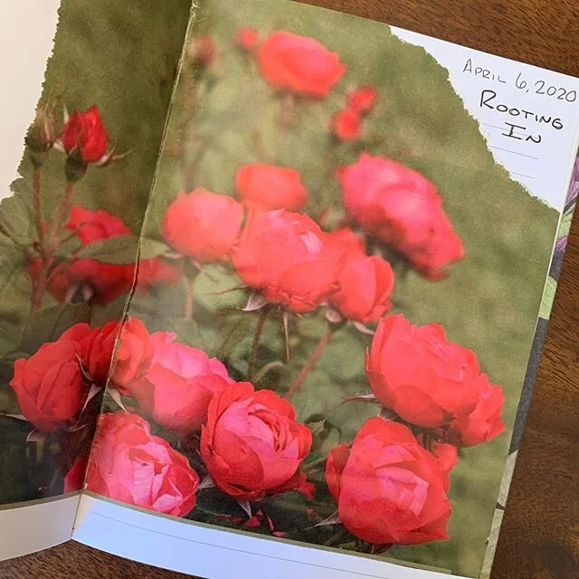 if I have learned anything it is this: do not let fear hold you in darkness.  Reach for more than this small, cold world says you may have.
.  Dare as I dared.
.  Elsewise, this life is but a shadow 
to the sun it could be.
- Annette Marie

#rootingi