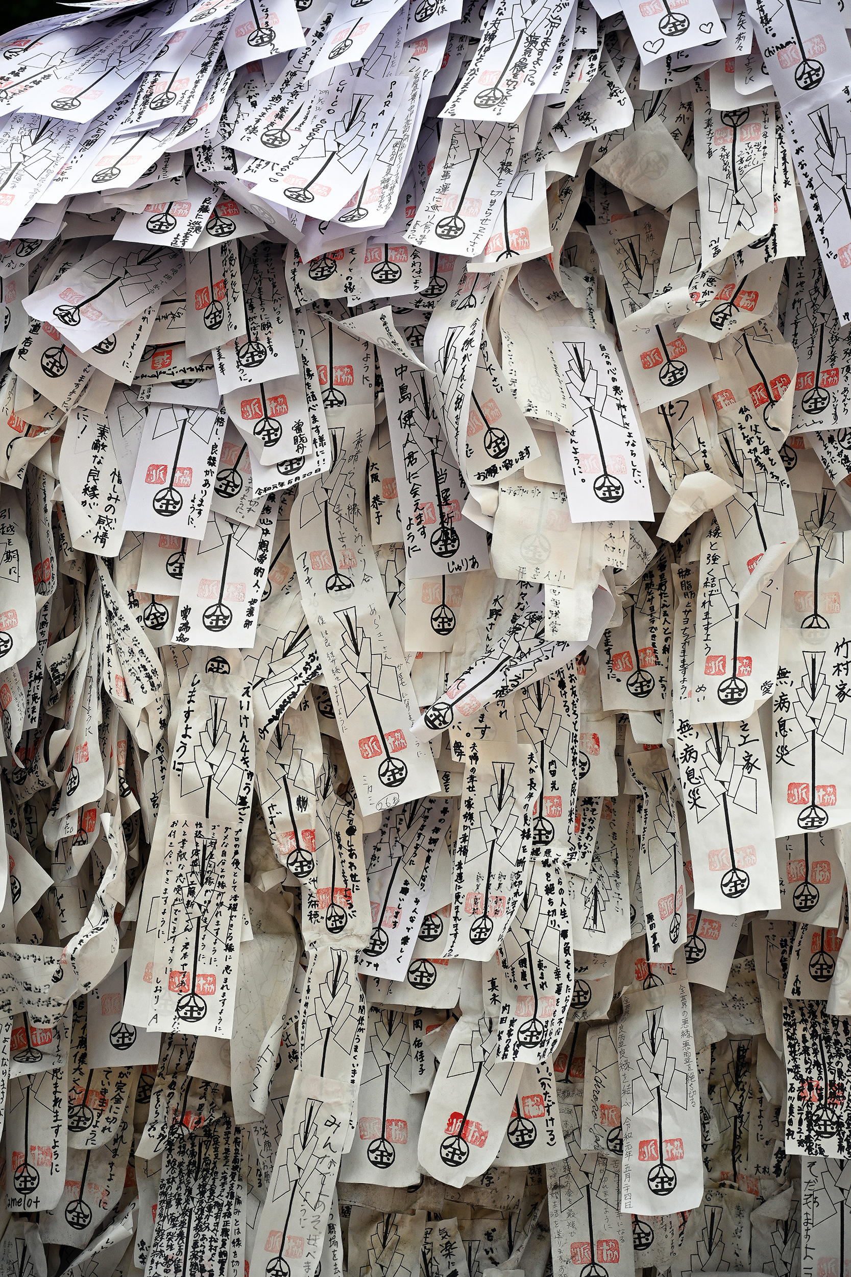 O-mikuji (Paper Prayers) at Shinto Shrine, Kyoto