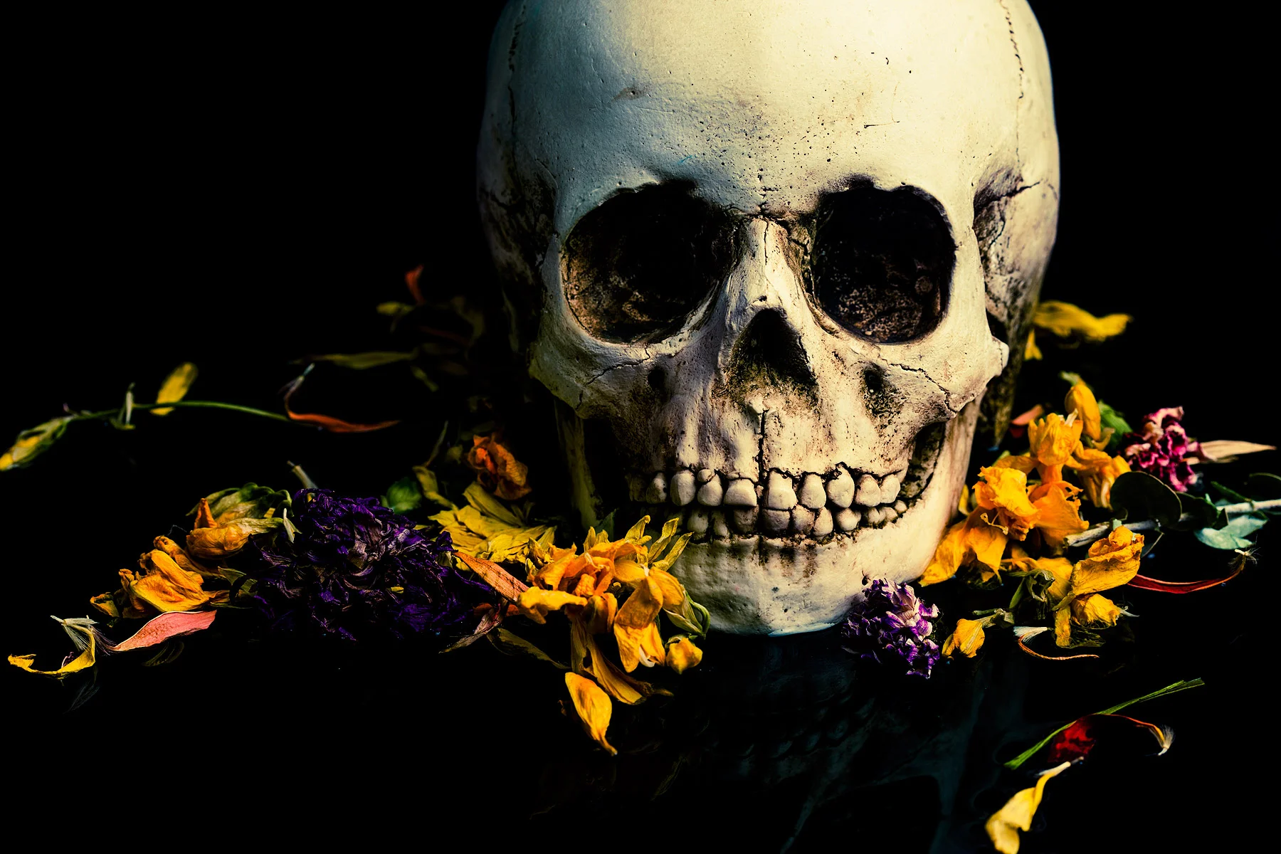 Motherland Chronicles #16 - Memento Mori , 2013