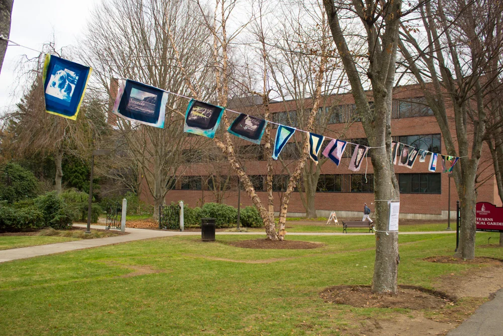 Tibetian Prayer Flag Inspired Art Installation