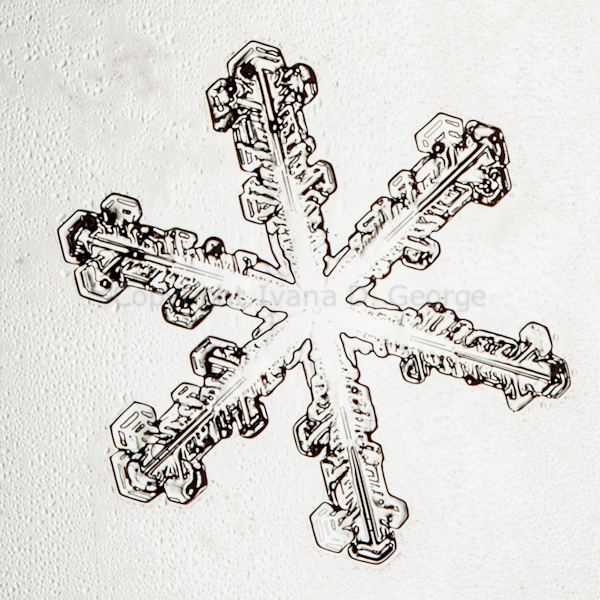 snowflakemelt2015-3.jpg