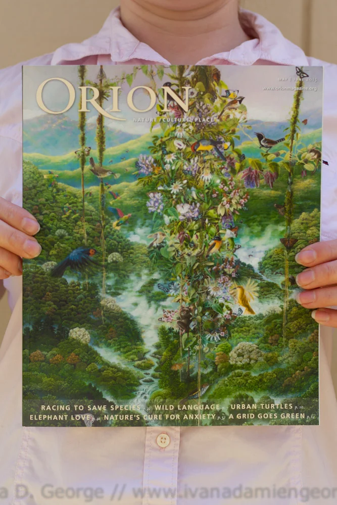My Glacial Waters Series Featured in Orion Magazine!