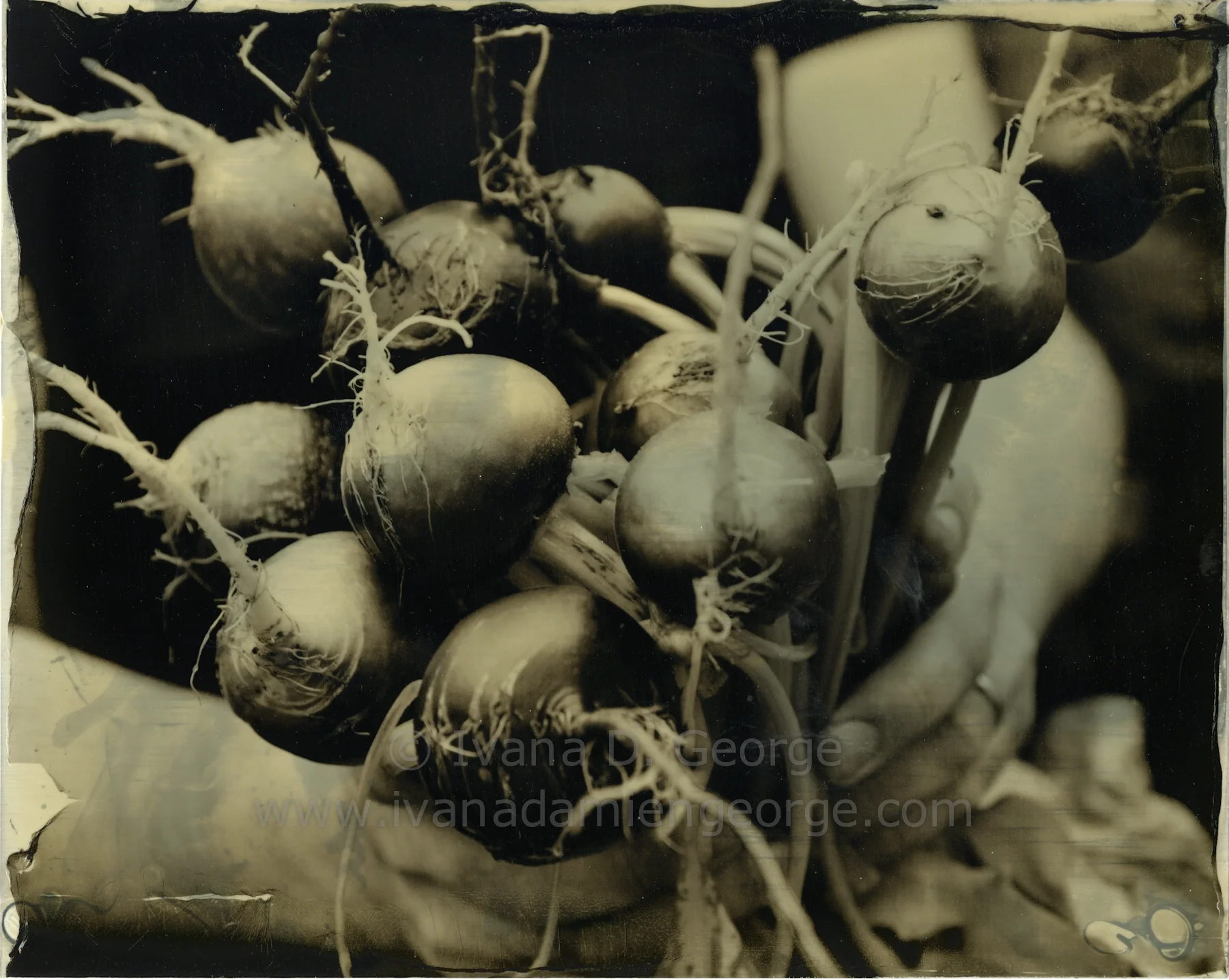 Have you seen my new Tintype Process?