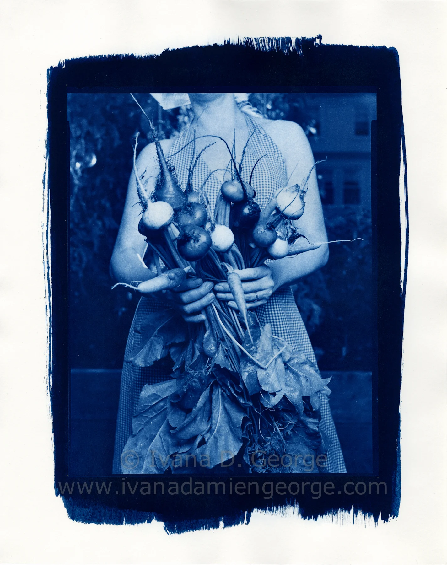 Would you like to see the Most Beautiful Cyanotype Prints...Ever?