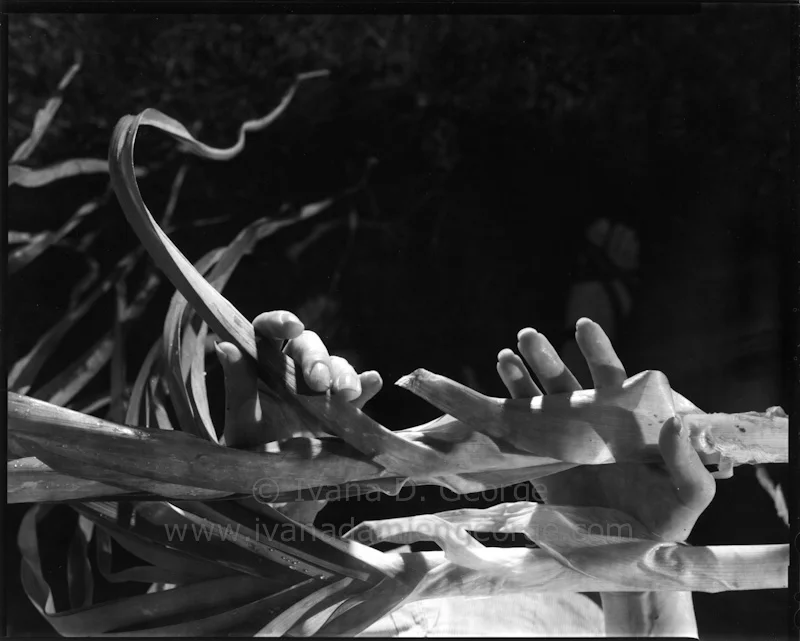 How I turn a Daydream into a Concept Sketch and into a Successful Artwork 