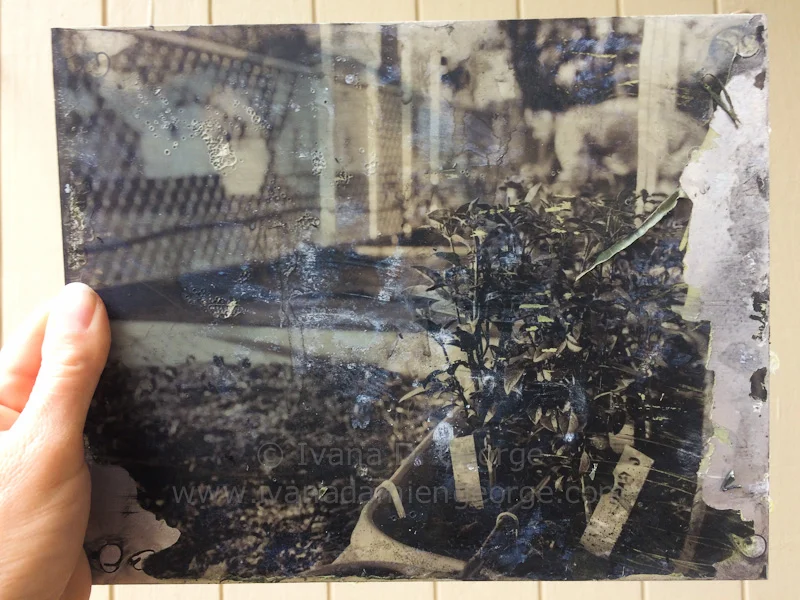 One of the damaged artworks after unsticking it from another artwork!
