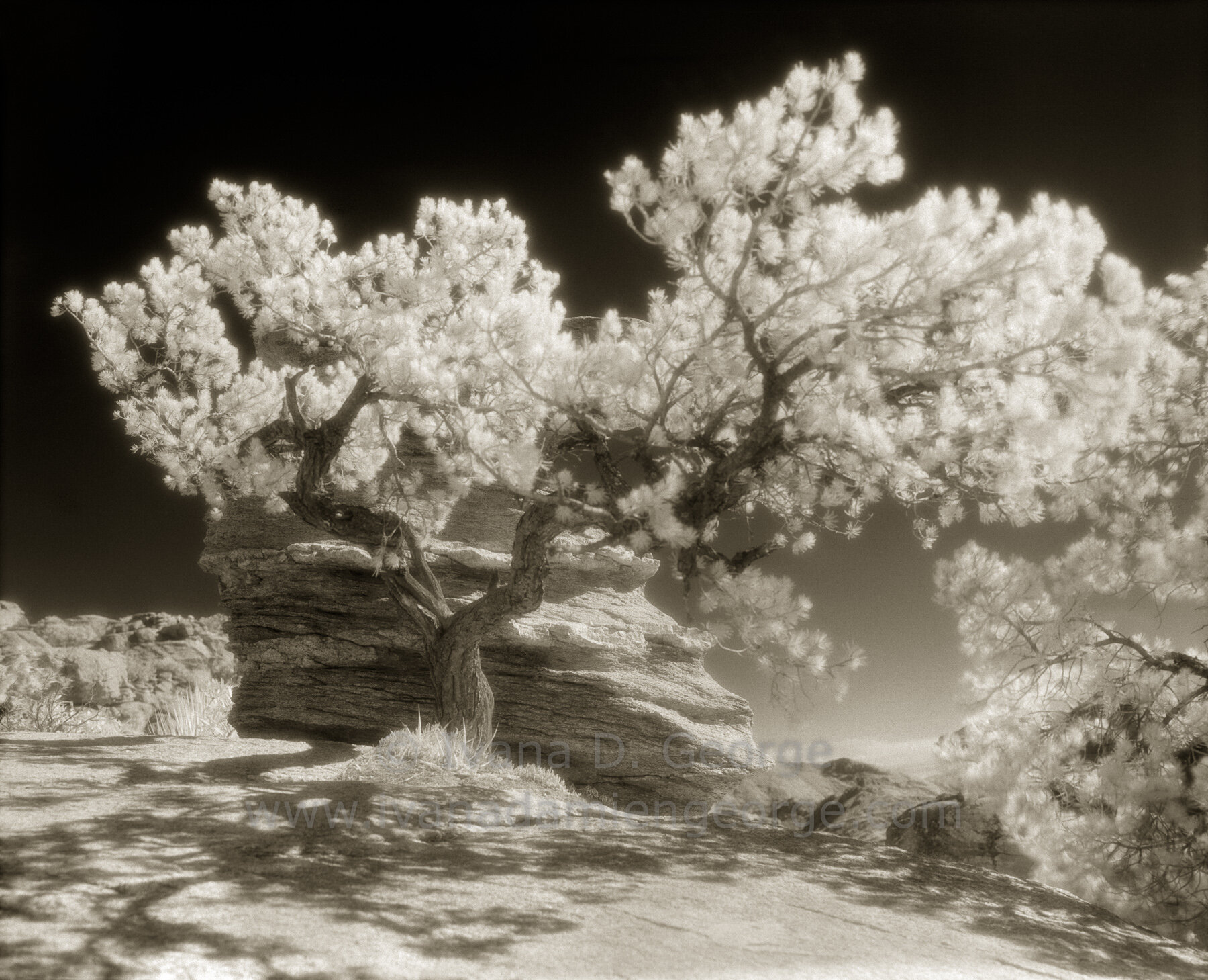 Mt. Lemmon No. 3
