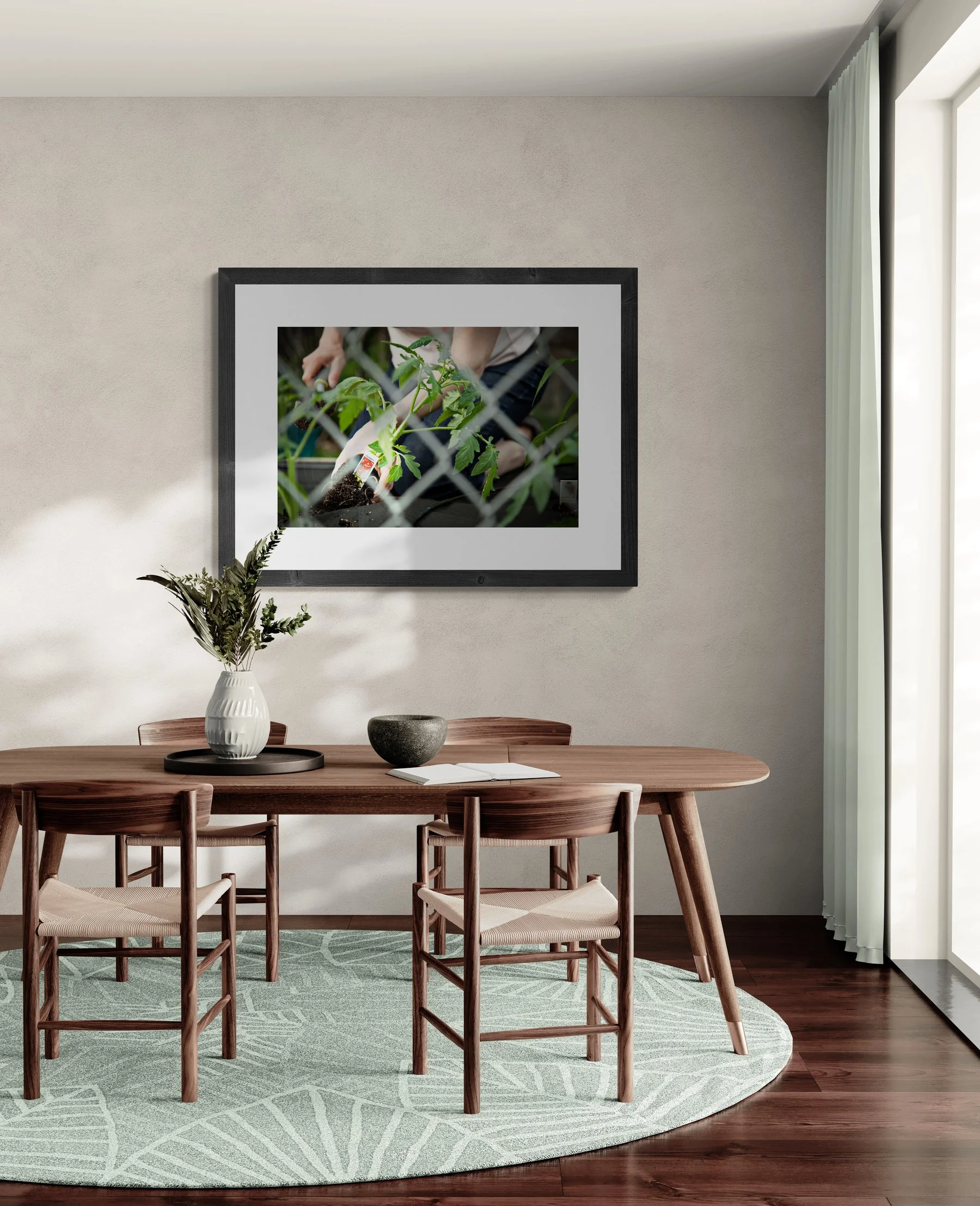 Planting Celebrity Tomatoes in May.jpg