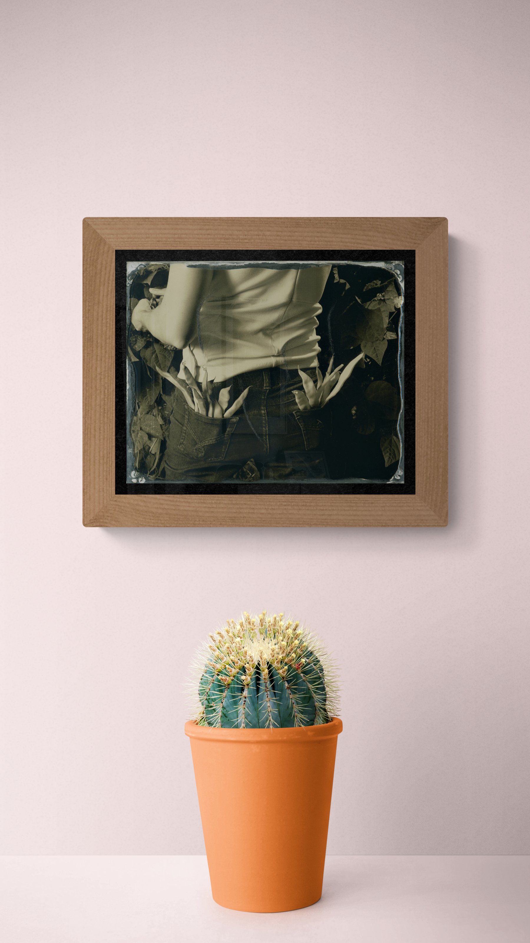 Harvesting NortheasterPolebeansinJune.jpg