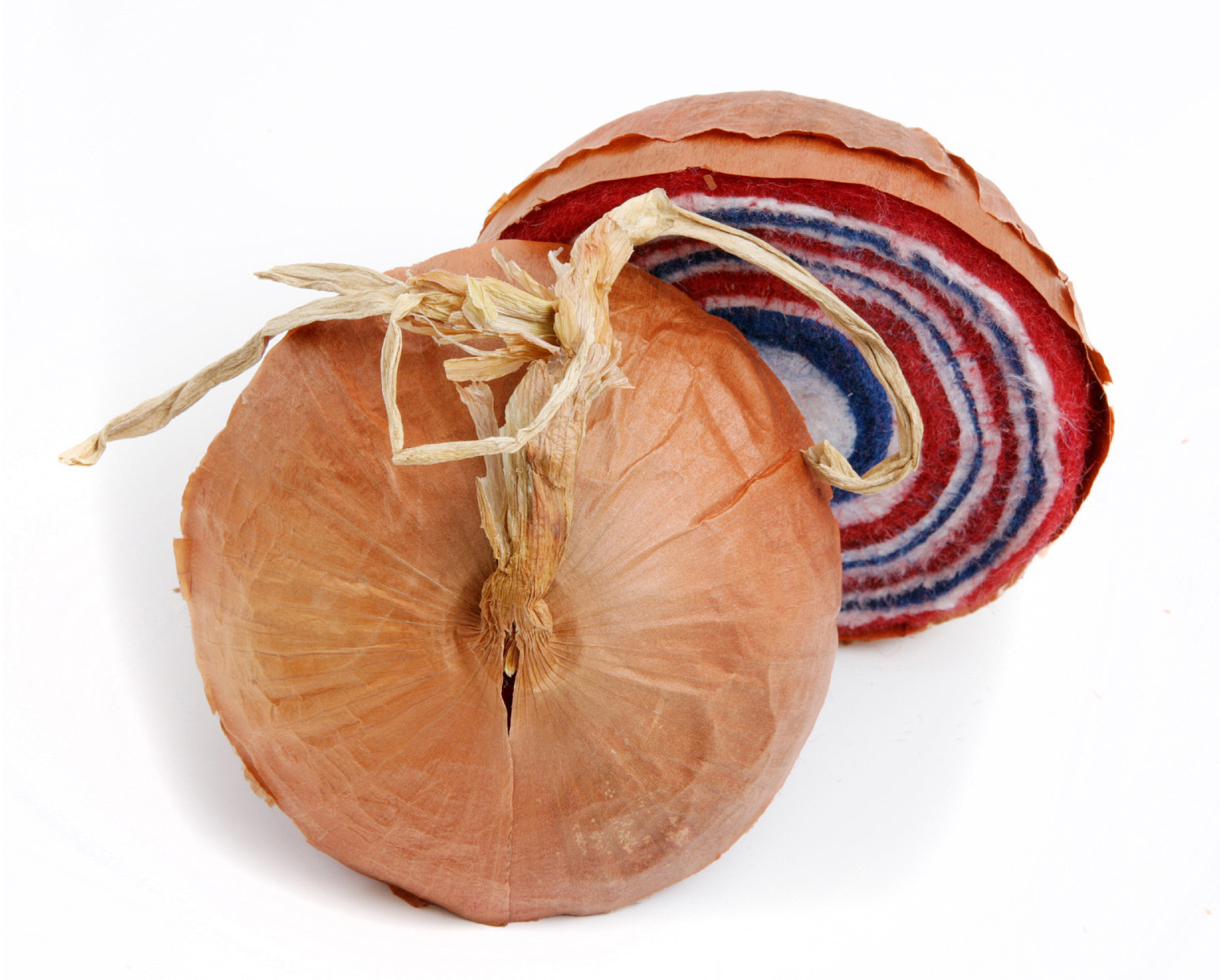 Cebolla Chilena