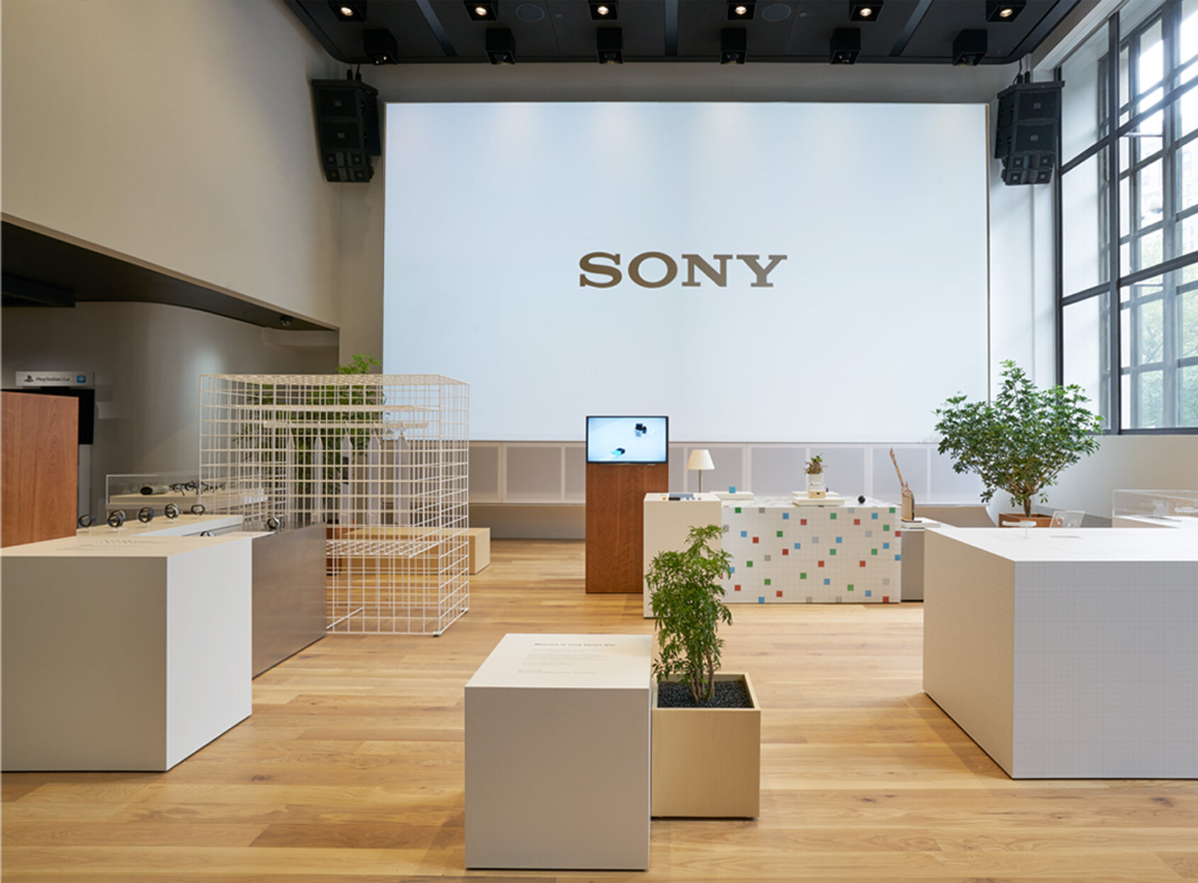 sony sq 12.jpg