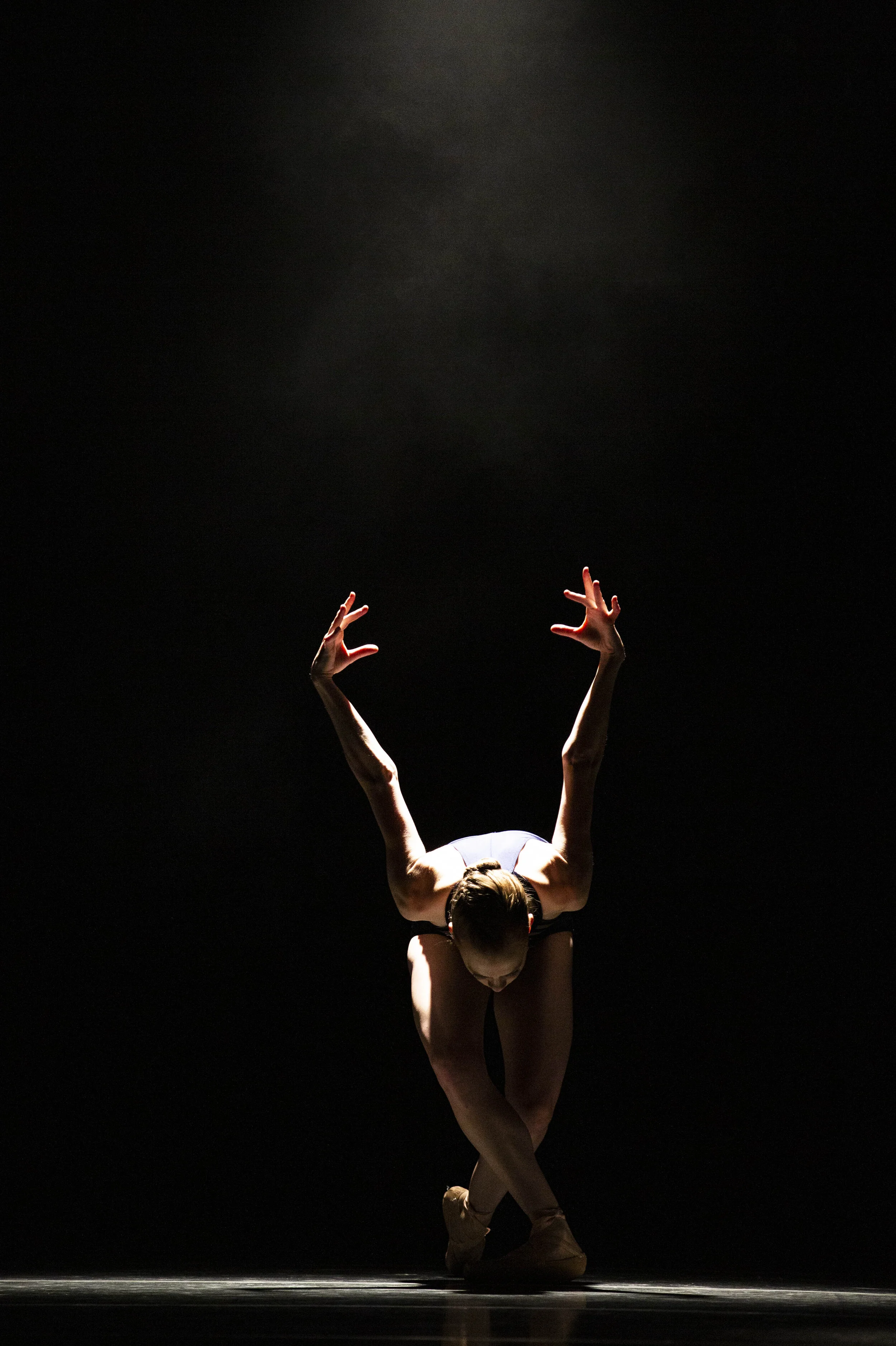 ThemeV19 0126-(ZF-7646-77850-1-001).jpg