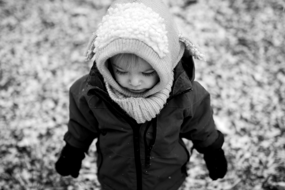  Kansas City, MO lifestyle family photographer toddler in the snow winter family photography black and white photography 