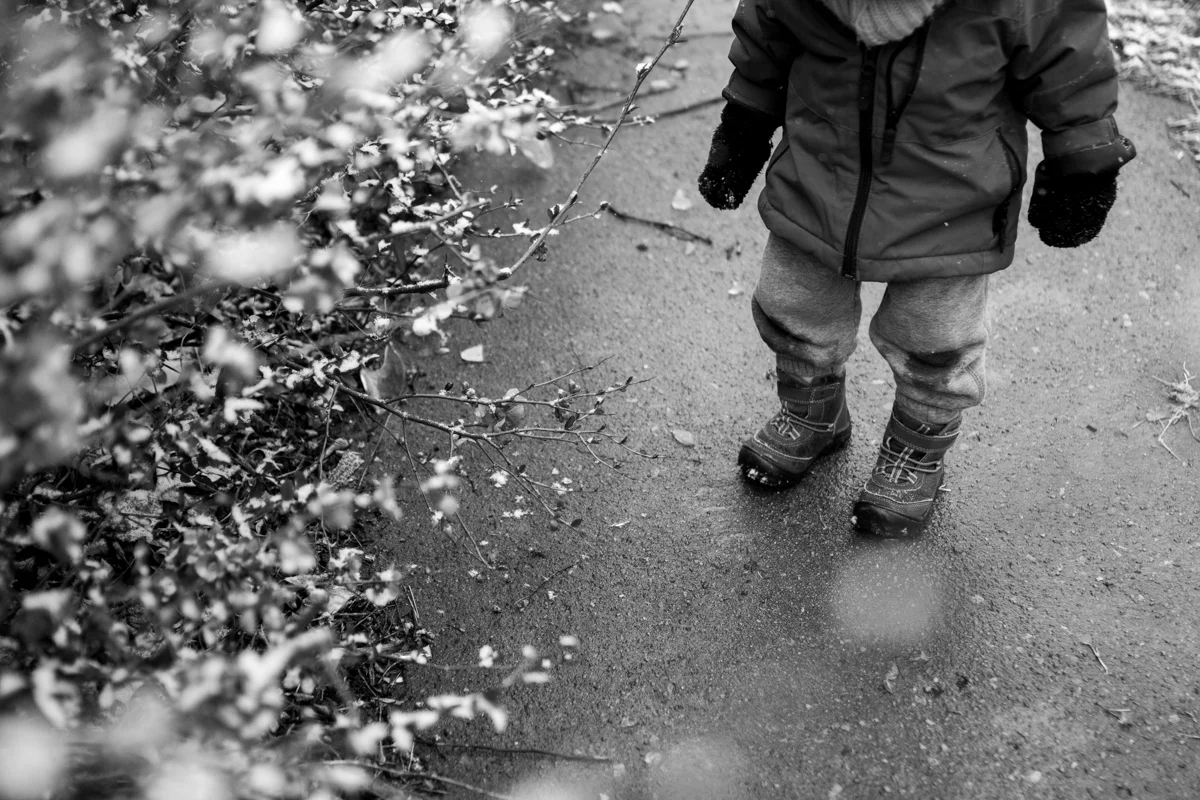 Kansas City, MO lifestyle family photographer toddler with spring flowers in the snow winter family photography black and white photography