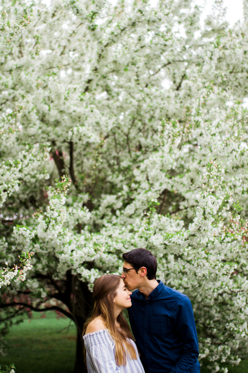  Kansas City Loose Park spring maternity session with the flowering apple tree kissing forehead Kansas City maternity photographer 