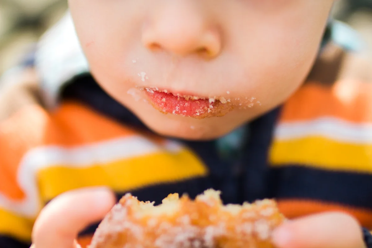 Kansas City family photographer toddler eating a donut Cider Hill Family Orchard