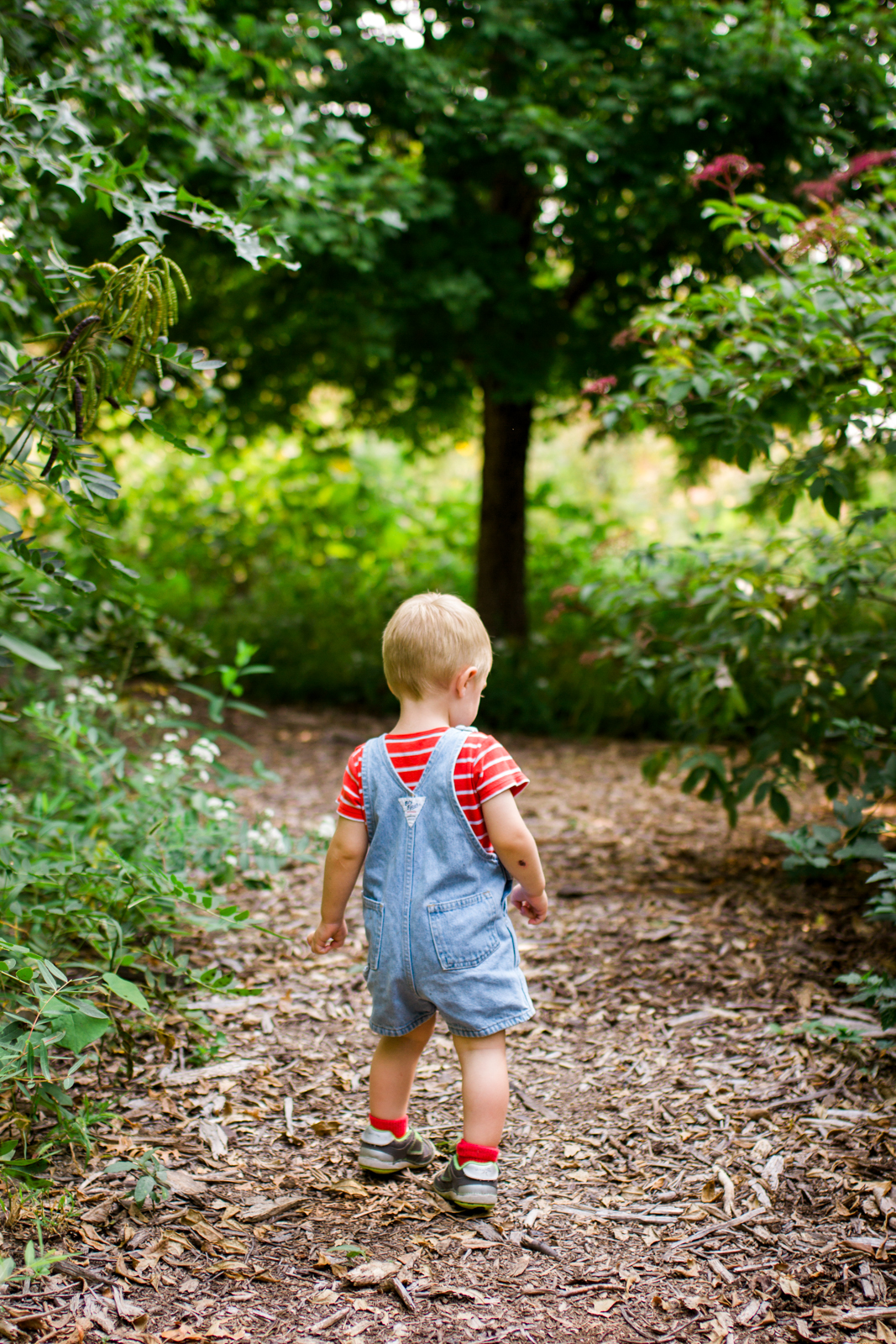  Rebecca Clair Photography Kansas City lifestyle photographer, fall mini session, fall family photos, boy walking through the woods 