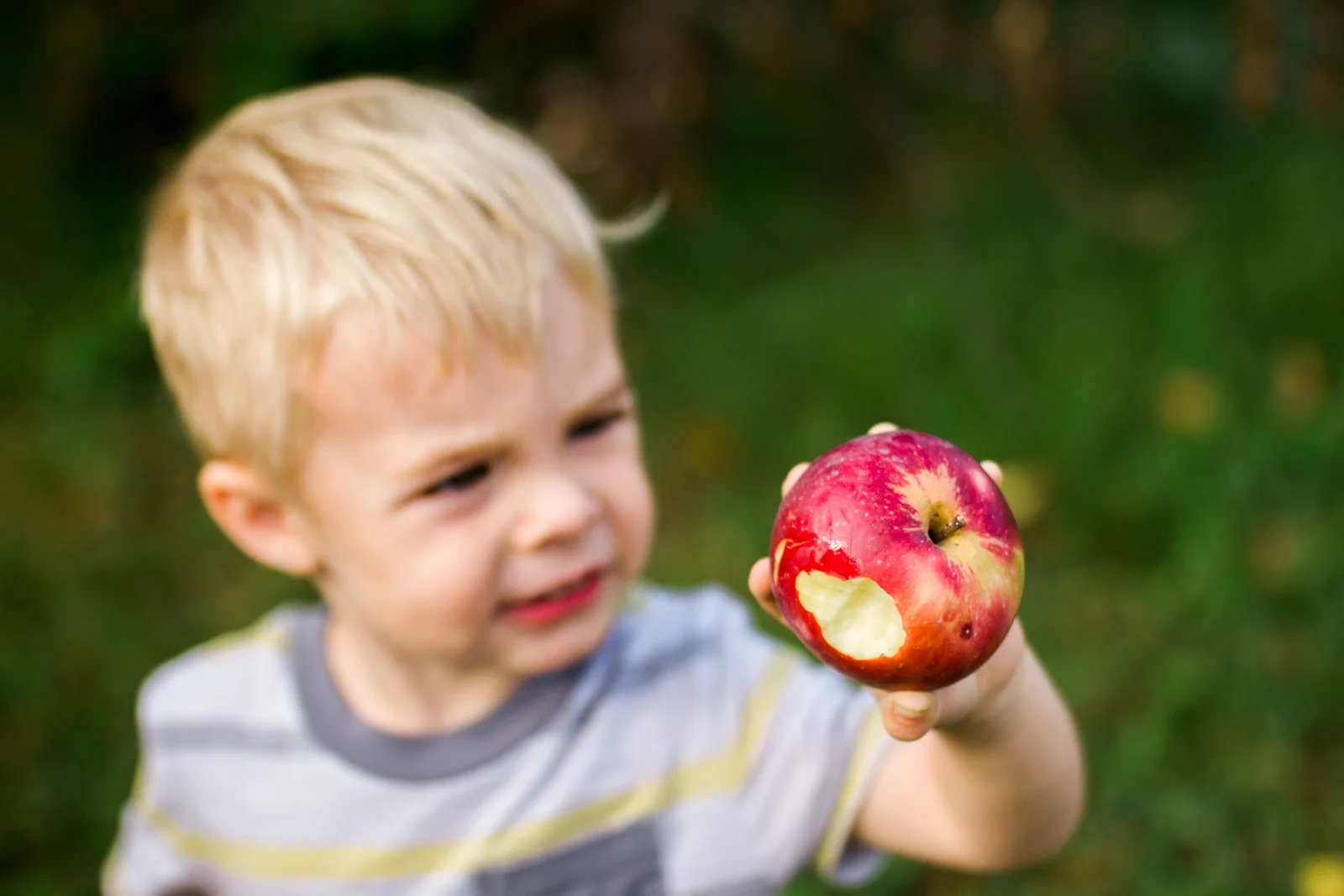 Rebecca Clair Photography, Kansas City lifestyle photographer, apple picking photo session, apple orchard photos, Kansas City family photographer, boy holding apple