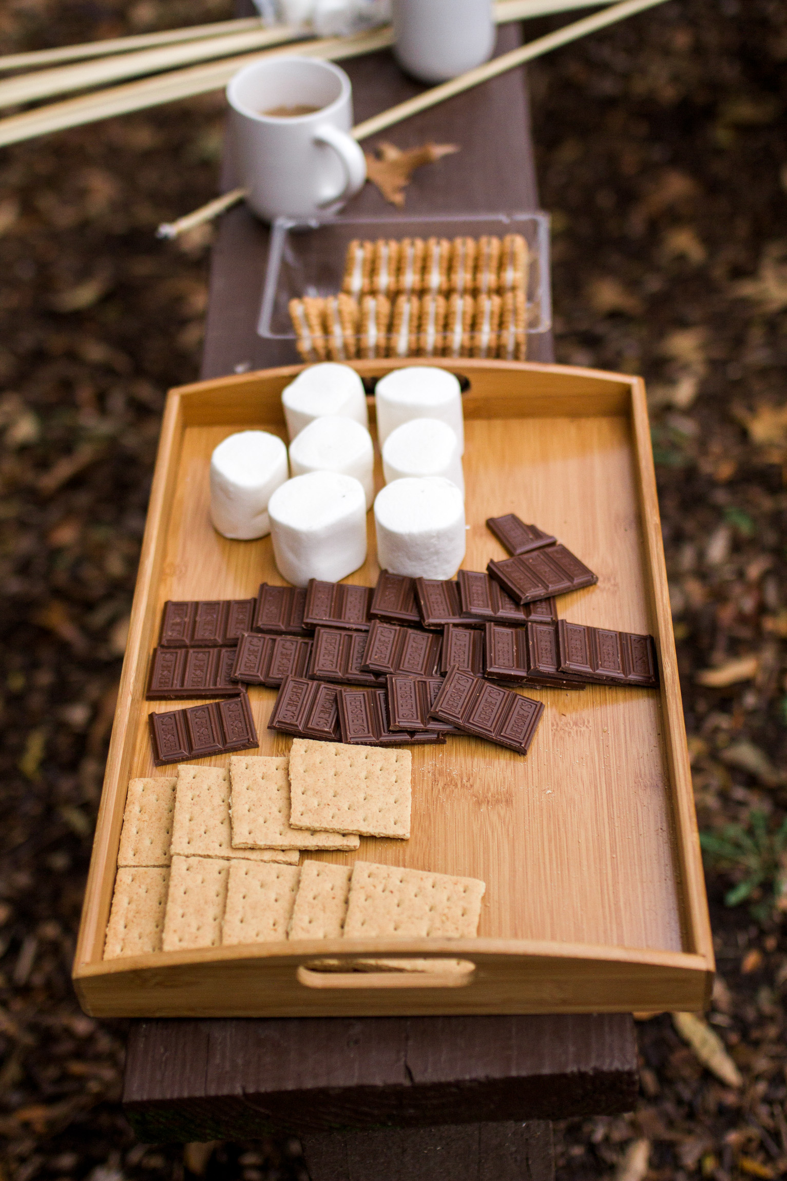  Kansas City lifestyle photographer, Kansas City family photographer, extended family session, fall family photos around a fire, roating marshmallows over the fire 