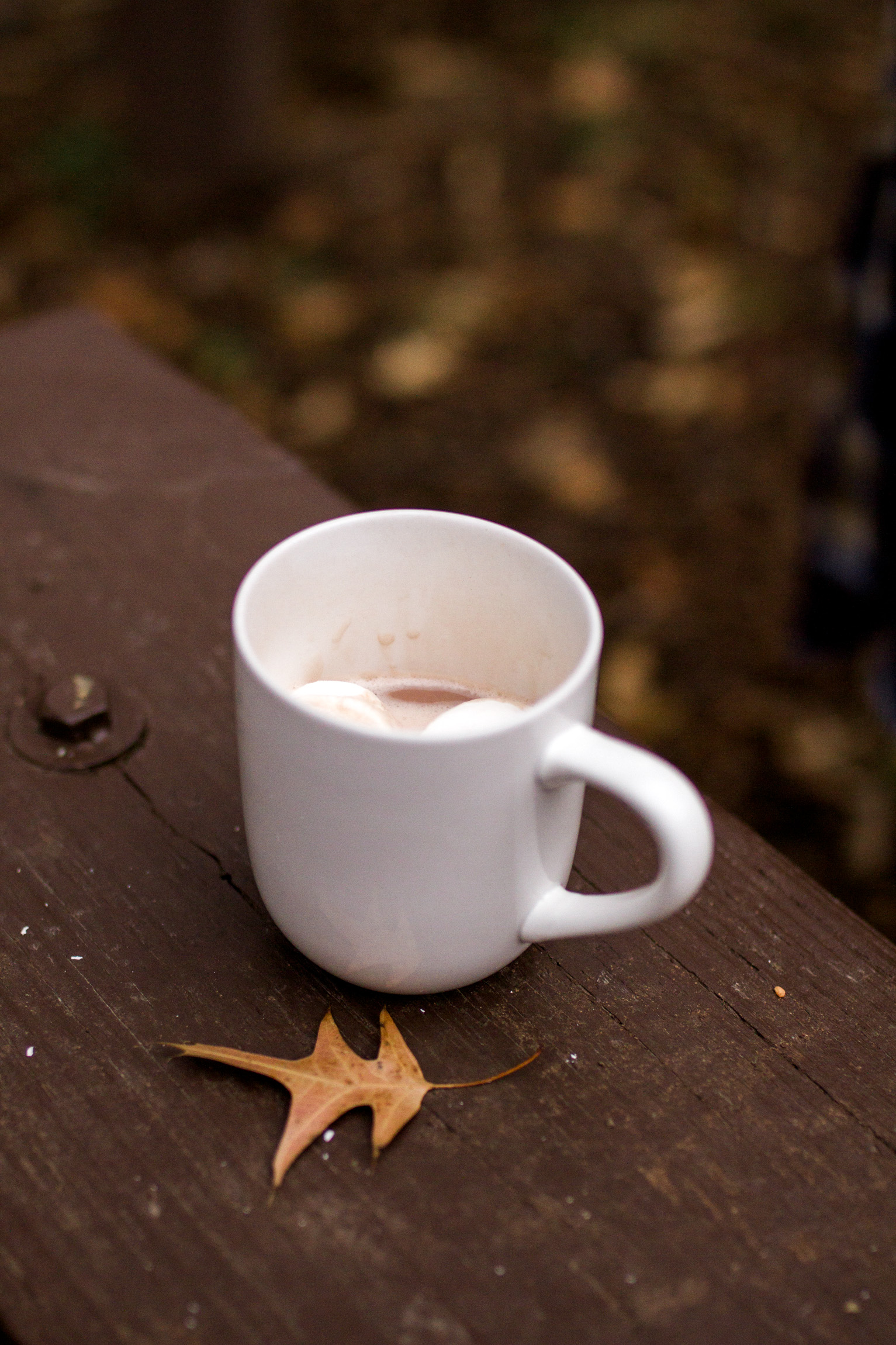  Kansas City lifestyle photographer, Kansas City family photographer, extended family session, fall family photos around a fire, hot chocolate by the fire 