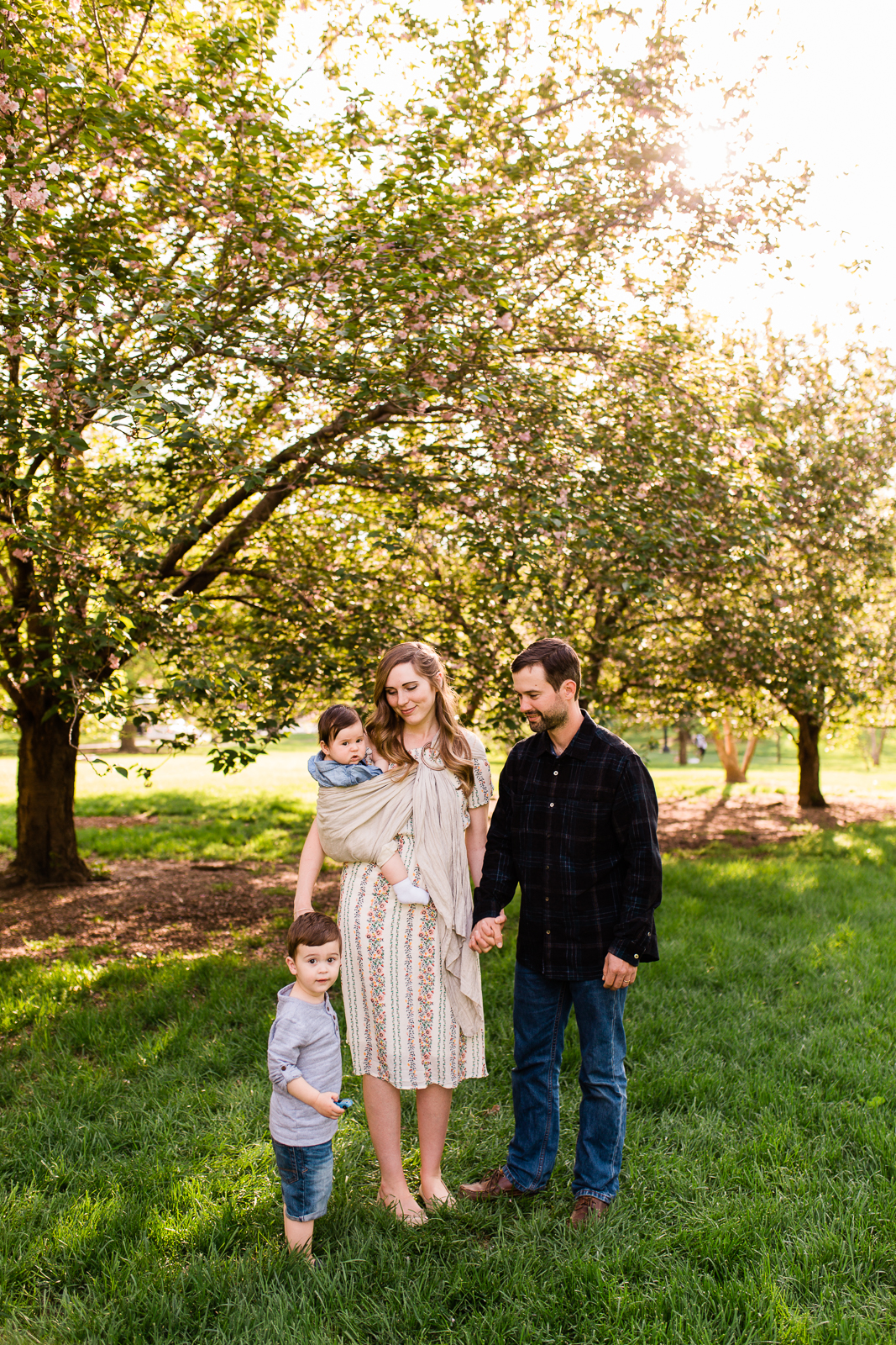  Family photos at Loose Park under the flowering trees, Kansas City family photographer, Rebecca Clair photography 