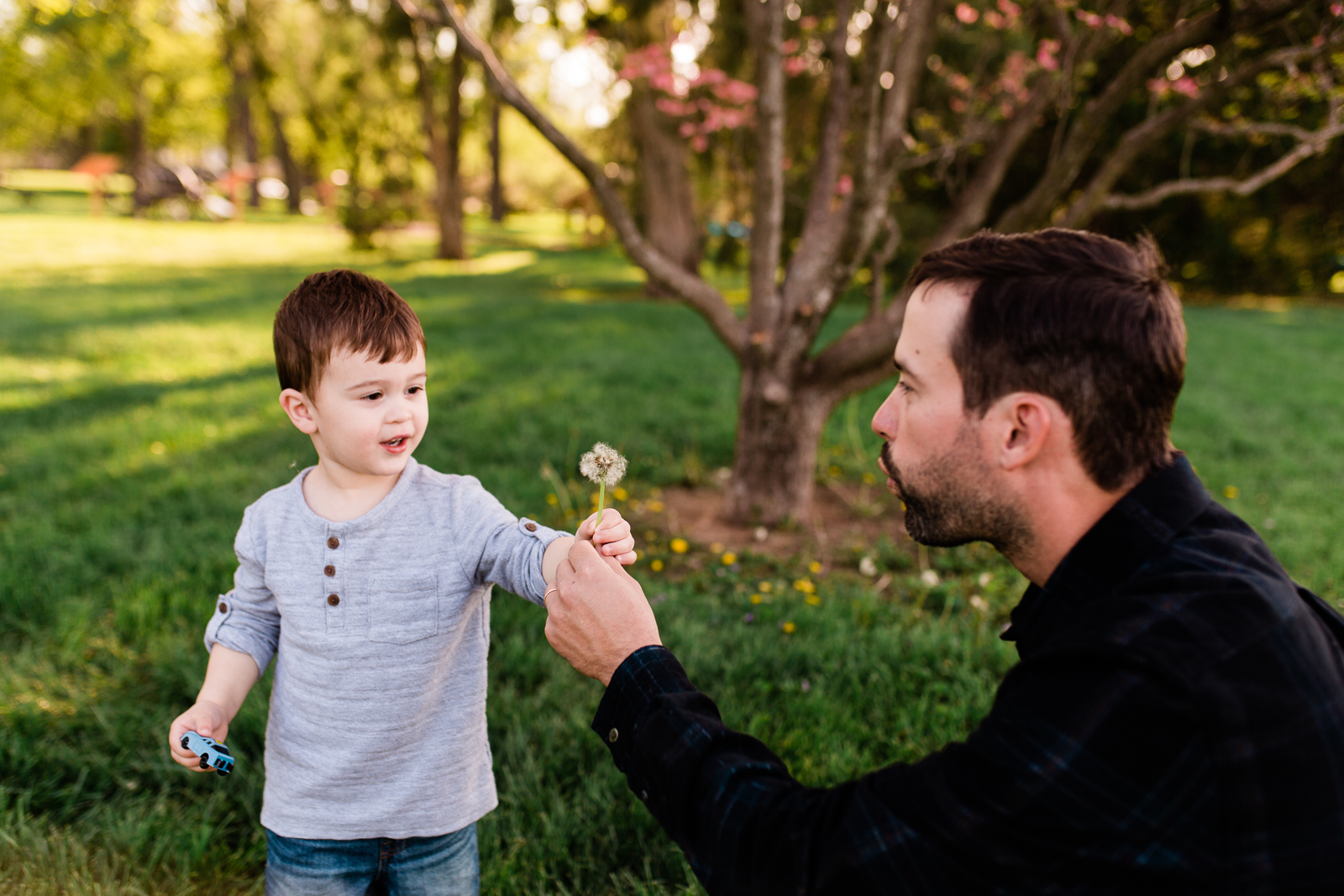  Father and son with dandelions, golden hour session at Loose park, mommy and me session, Kansas City family photographer, Rebecca Clair Photography 