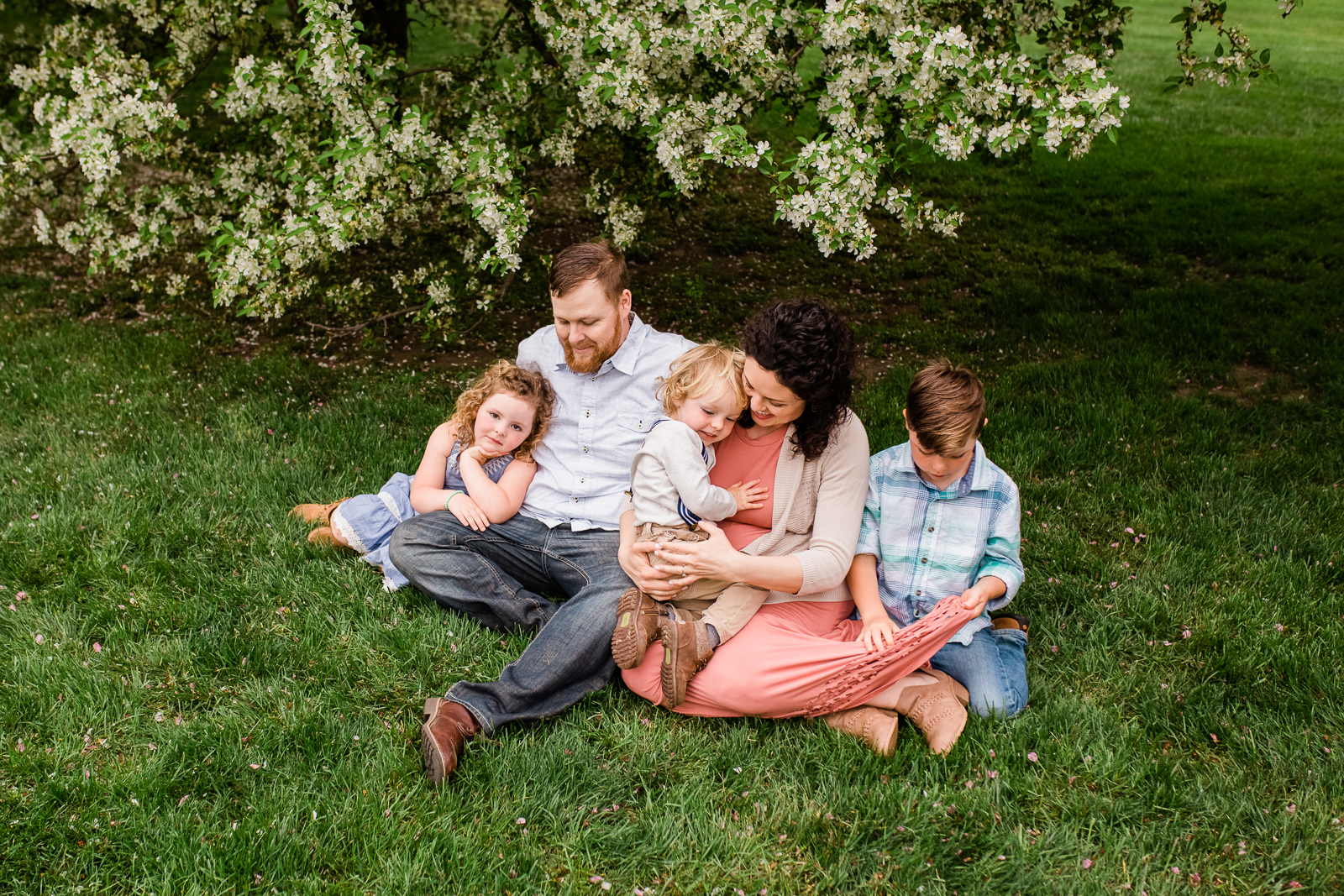  Family cuddles together under a flowering tree, spring family session, Kansas City family photographer, Rebecca Clair Photography 