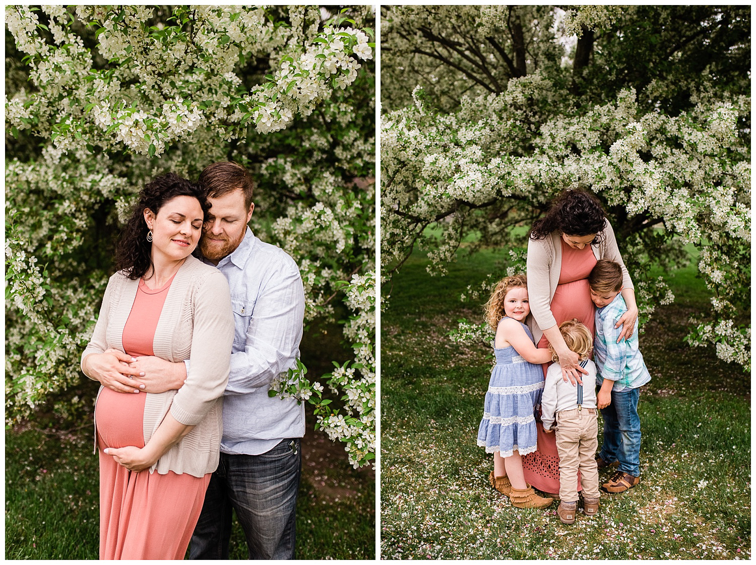  Spring family maternity session under a flowering apple tree, Kansas City maternity photographer, spring maternity session at Loose Park, Rebecca Clair Photography 