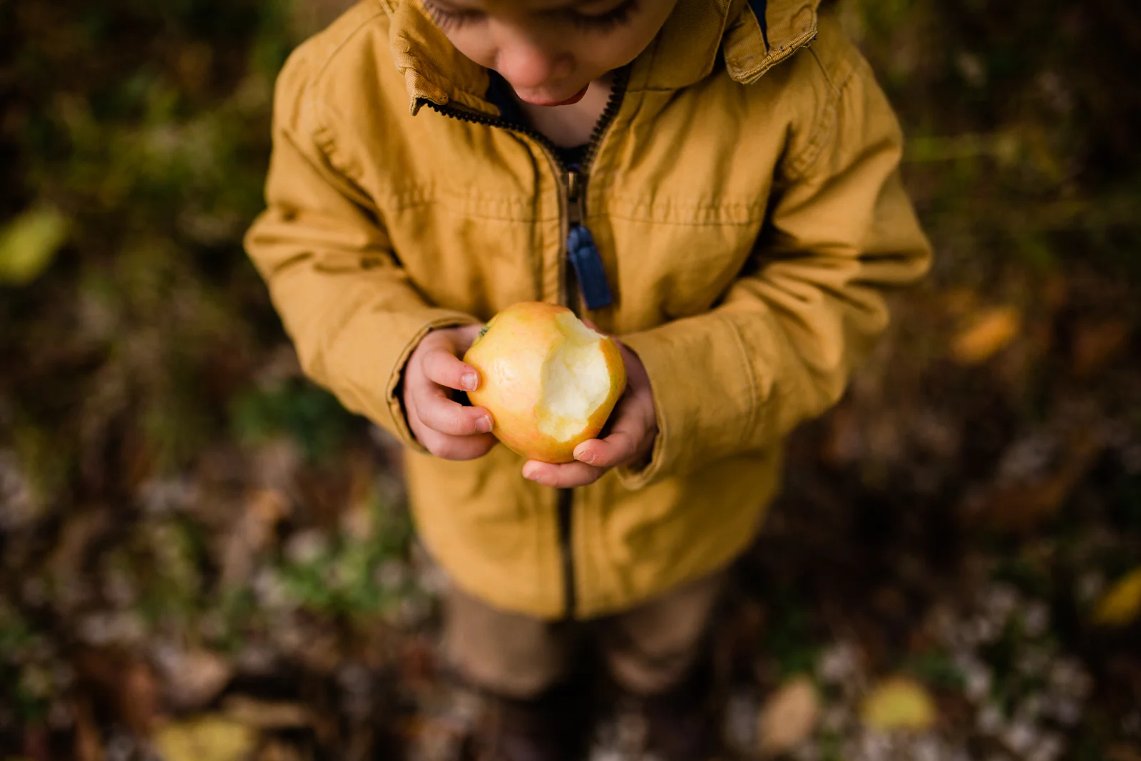 Boy holding an apple in the fall, candid family photos in Kansas City, Kansas City fall family photos, Kansas City November mini sessions
