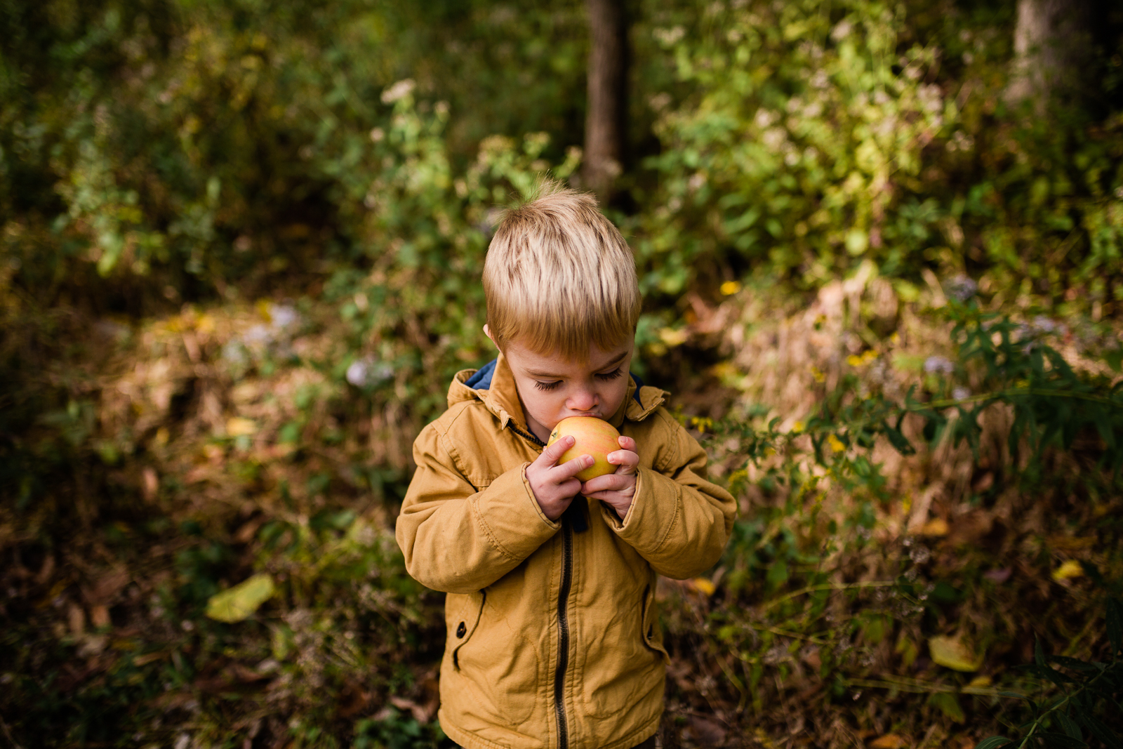 Little boy eats apple in the woods, Kansas City lifestyle photographer, Lakeside Nature Center