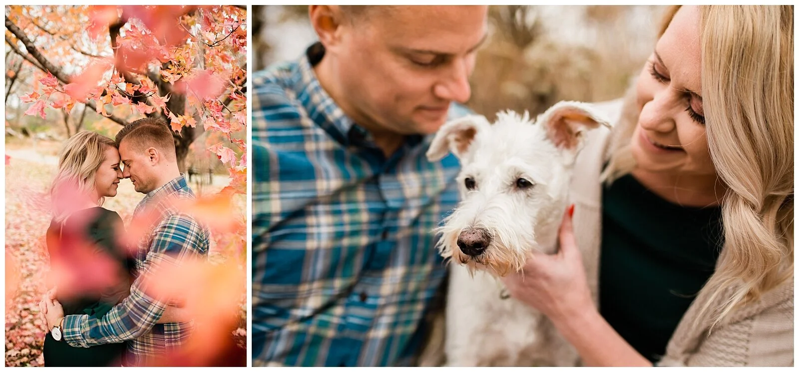 A couple embraces nose to nose under a red autumn tree, Kansas City engagment and couples photographer, Rebecca Clair Photography
