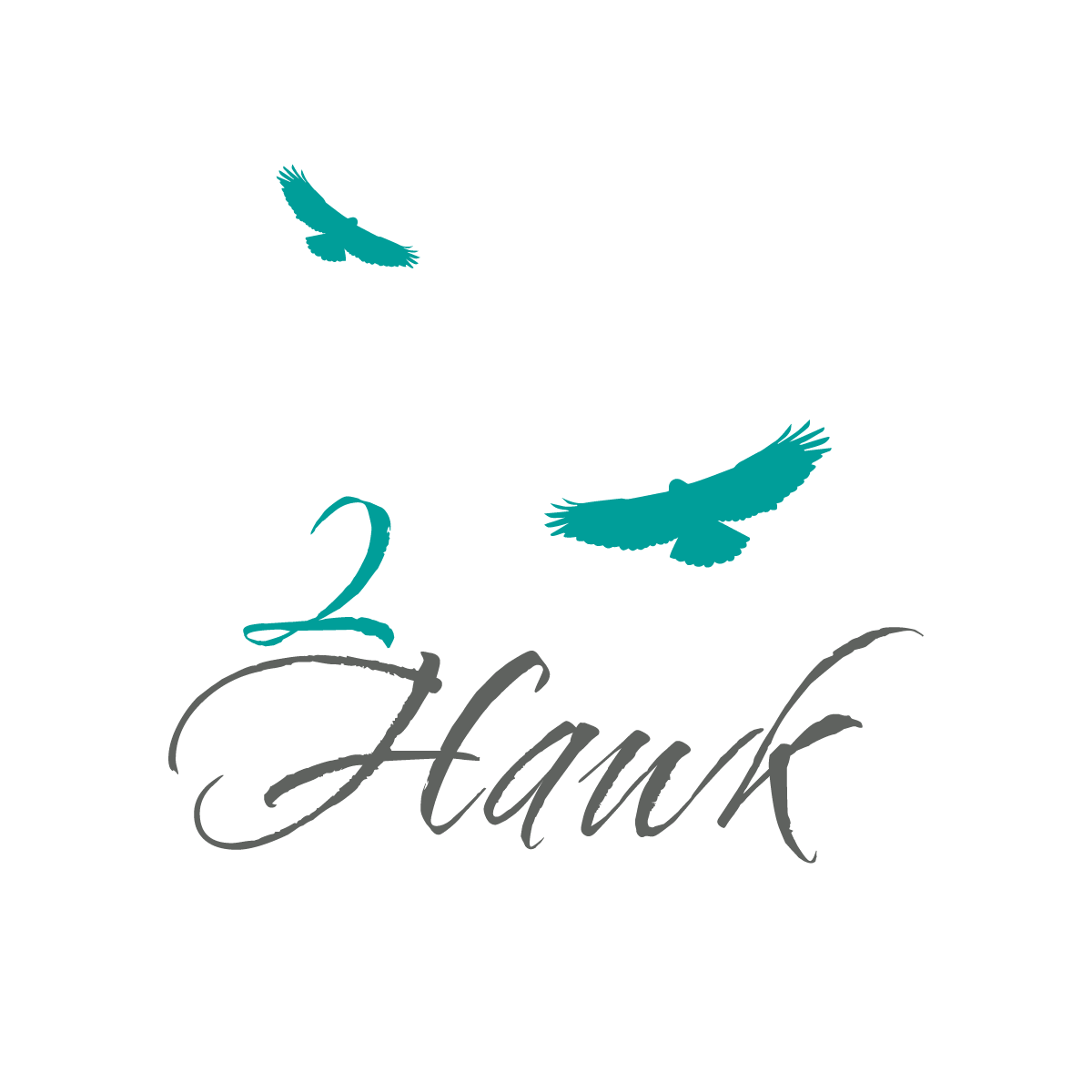 2hawk-02.png